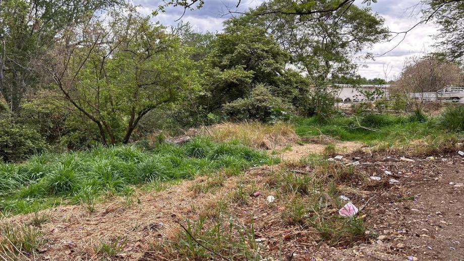 Av. Bosques de San Isidro Sur, Zapopan, Jalisco, 45133, Mexico, 1 Bedroom Bedrooms, ,Residential,For Sale,Av. Bosques de San Isidro Sur,1588840