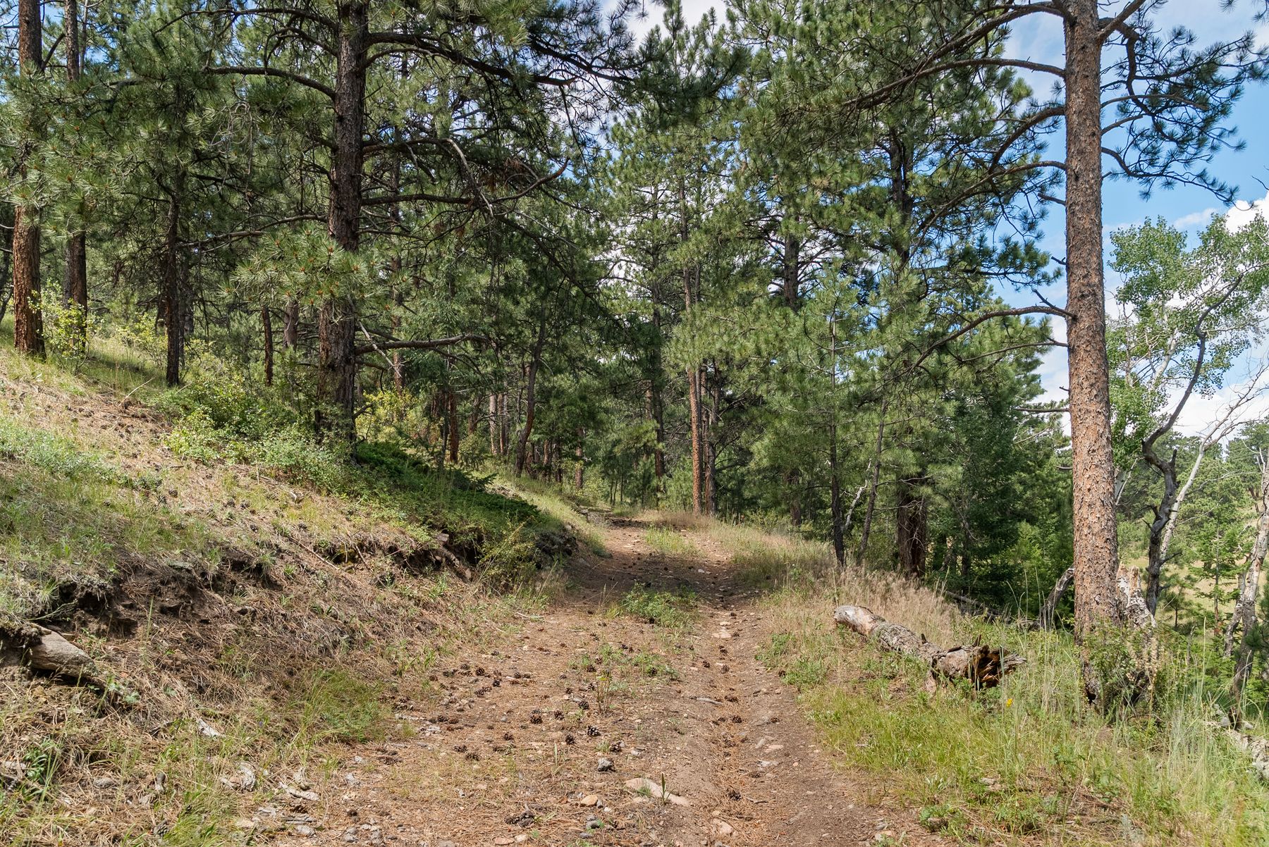  000 Hotel Way, Golden, CO, 80401 - 物件實景