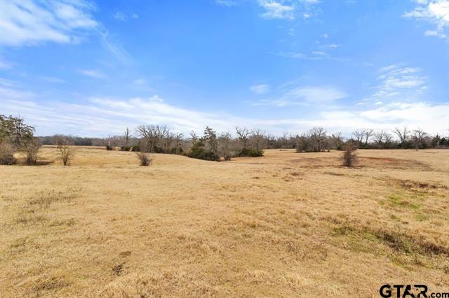 Van, Texas, 75790, United States, ,Land,For Sale,1981017