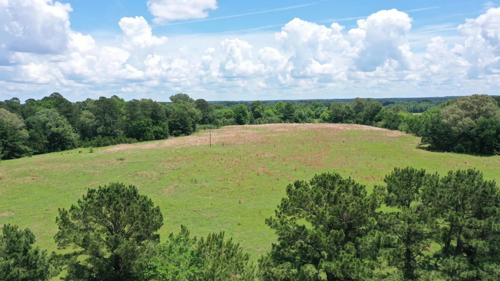 Douglassville, Texas, 75560, United States, ,Land,For Sale,2048006