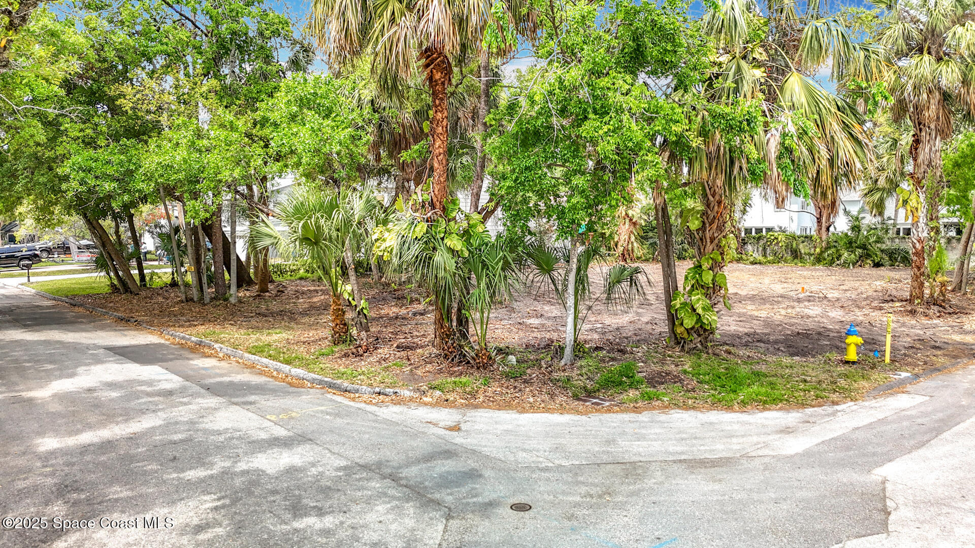 Tampa, Florida, 33629, United States, ,Land,For Sale,1751522