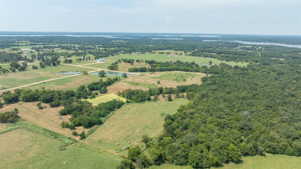 Yantis, Texas, 75497, United States, ,Land,For Sale,1917714