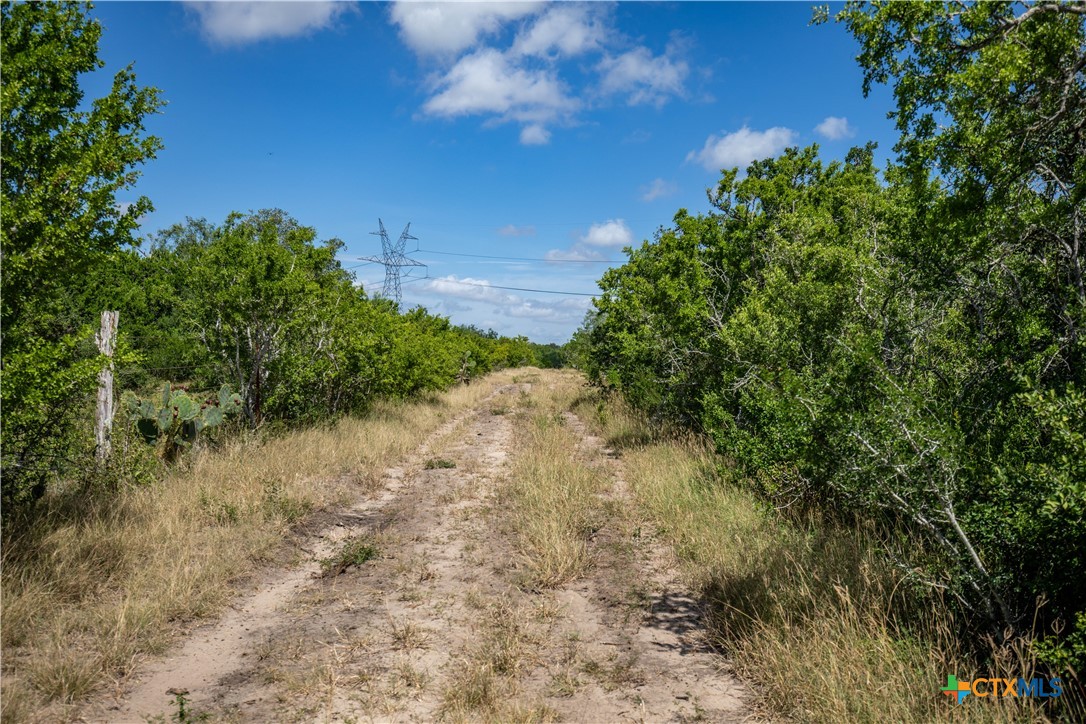 Kenedy, Texas, 78119, United States, ,Residential,For Sale,1967827