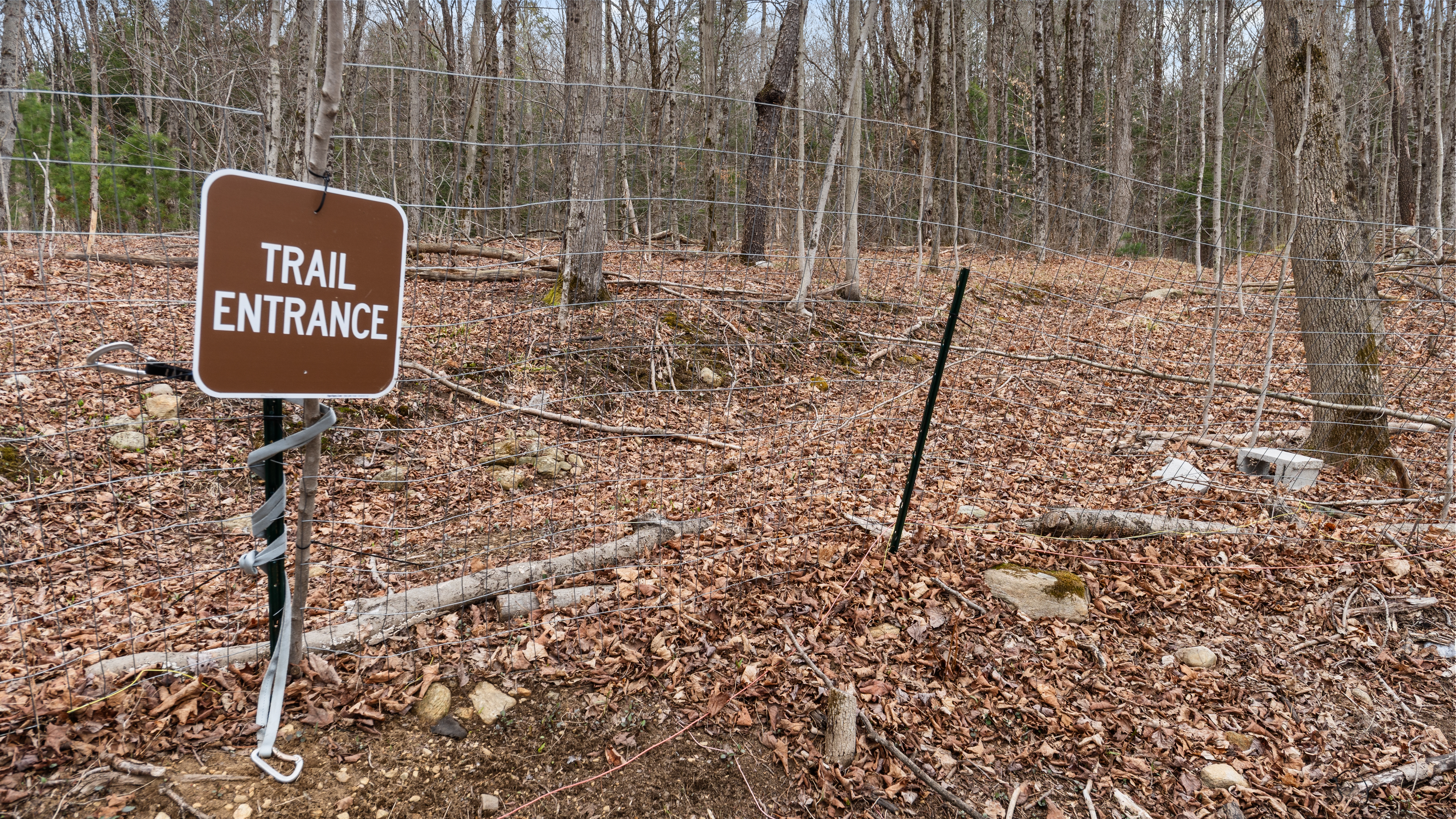  Historic Berkshire Homestead with Solar Barn, Trails, & Modern Efficiency - 物件實景