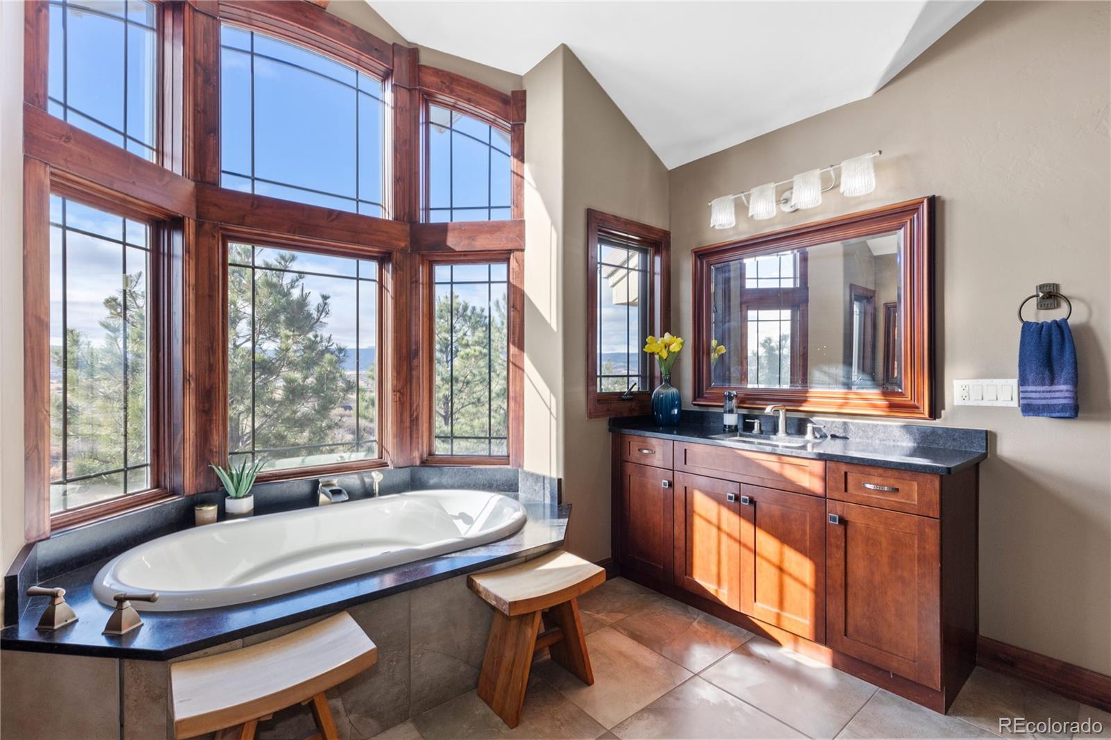 Castle Rock, Colorado, 80109, United States, 4 Bedrooms Bedrooms, ,4 BathroomsBathrooms,Residential,For Sale,2000422