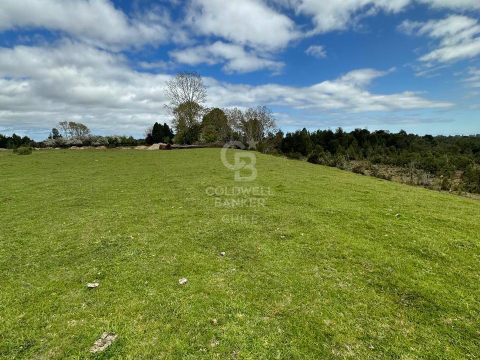 Maullín, Chile, ,Residential,For Sale,1994517