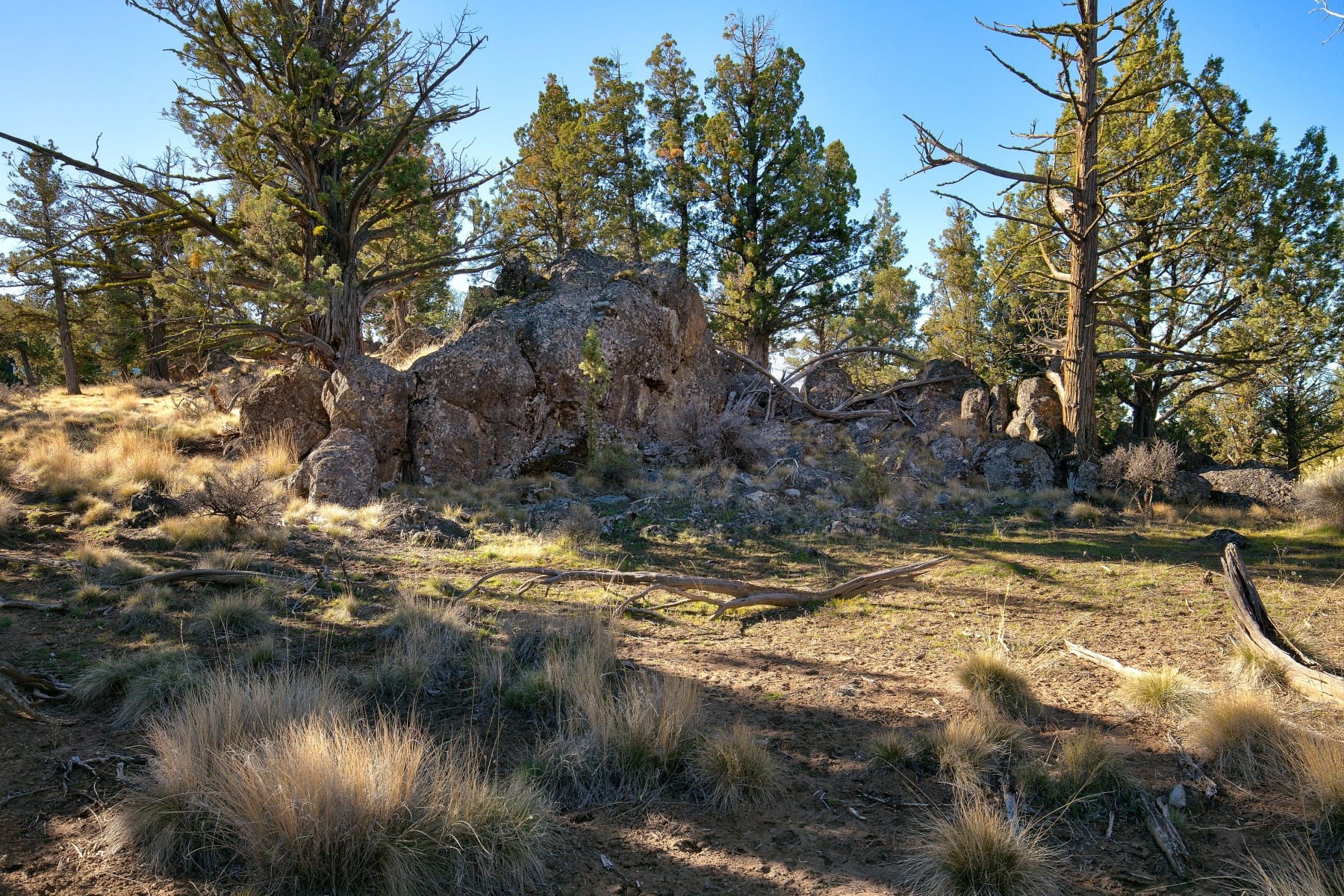  3380 NW Greenleaf Way Bend, OR 97703 - 物件實景