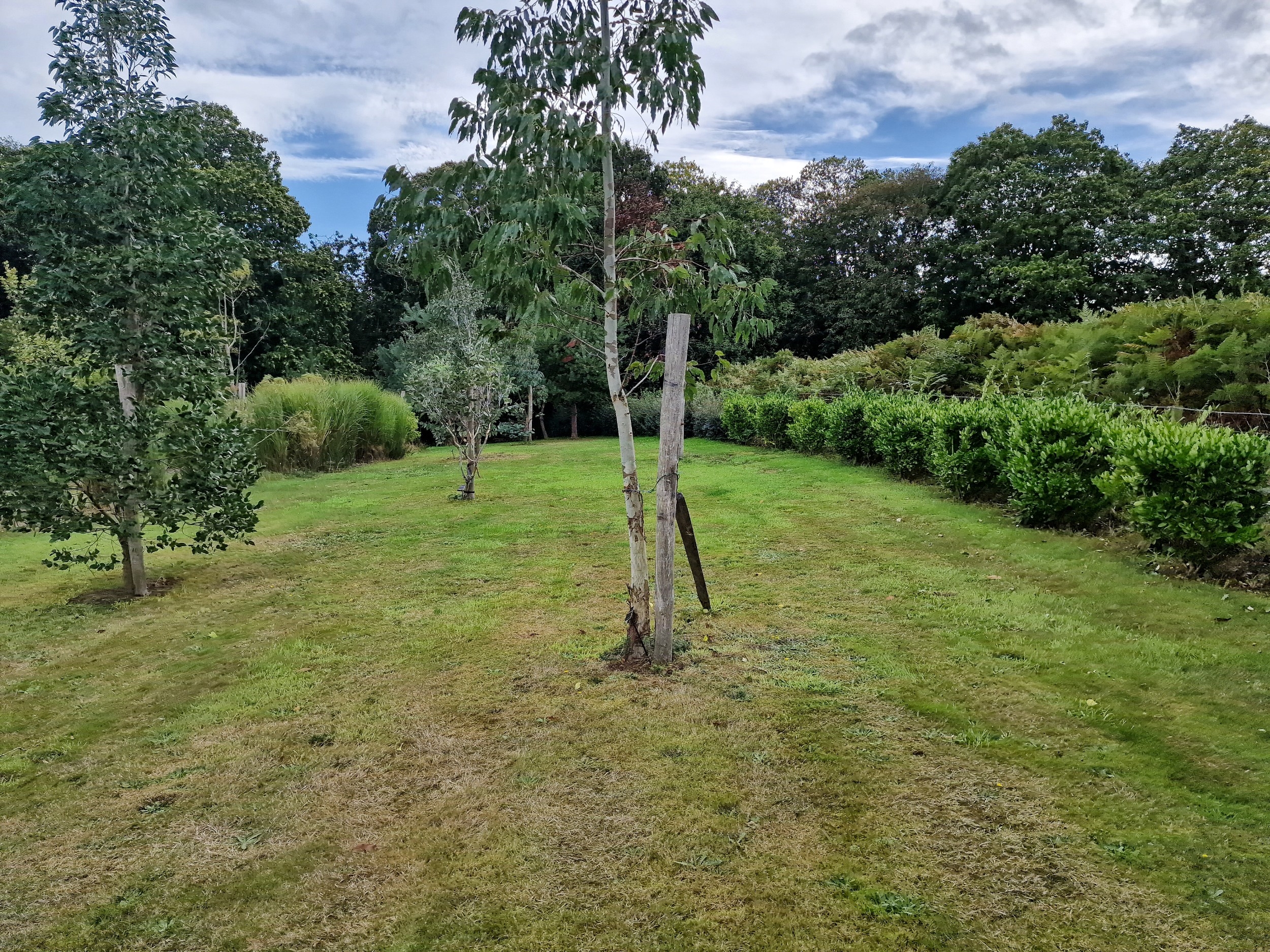  Marvellous property with a 5 acres park overlooking the sea bewteen Buguélès an… - 物件實景