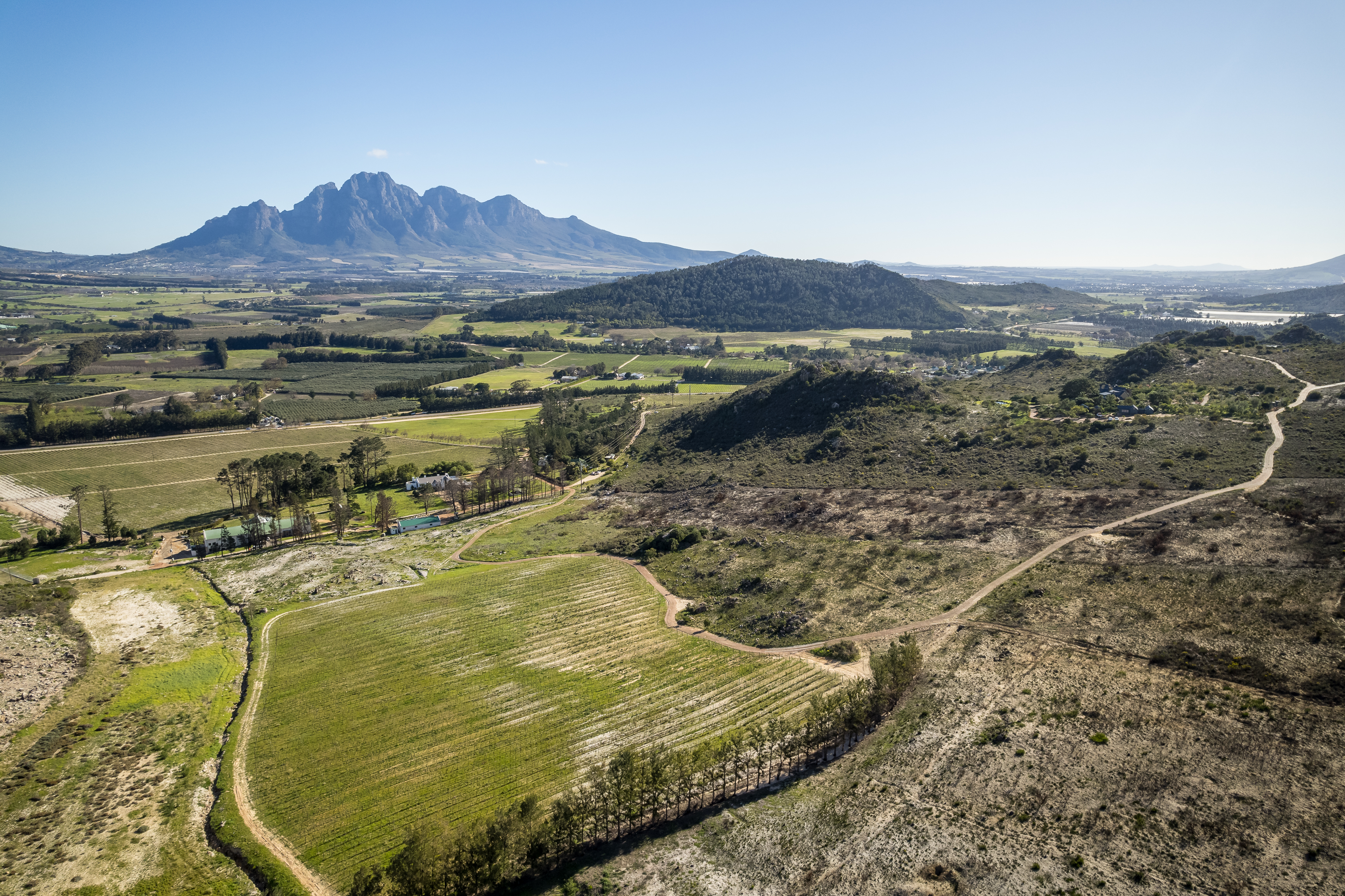  An Exceptional Boutique Wine Estate in the Heart of the Cape Winelands - 物件實景