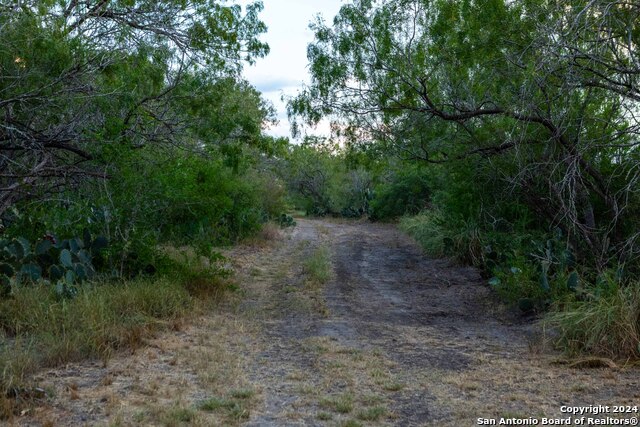 000 County Road 376, George West, Texas, 78022, United States, ,Residential,For Sale,000 County Road 376,1656585