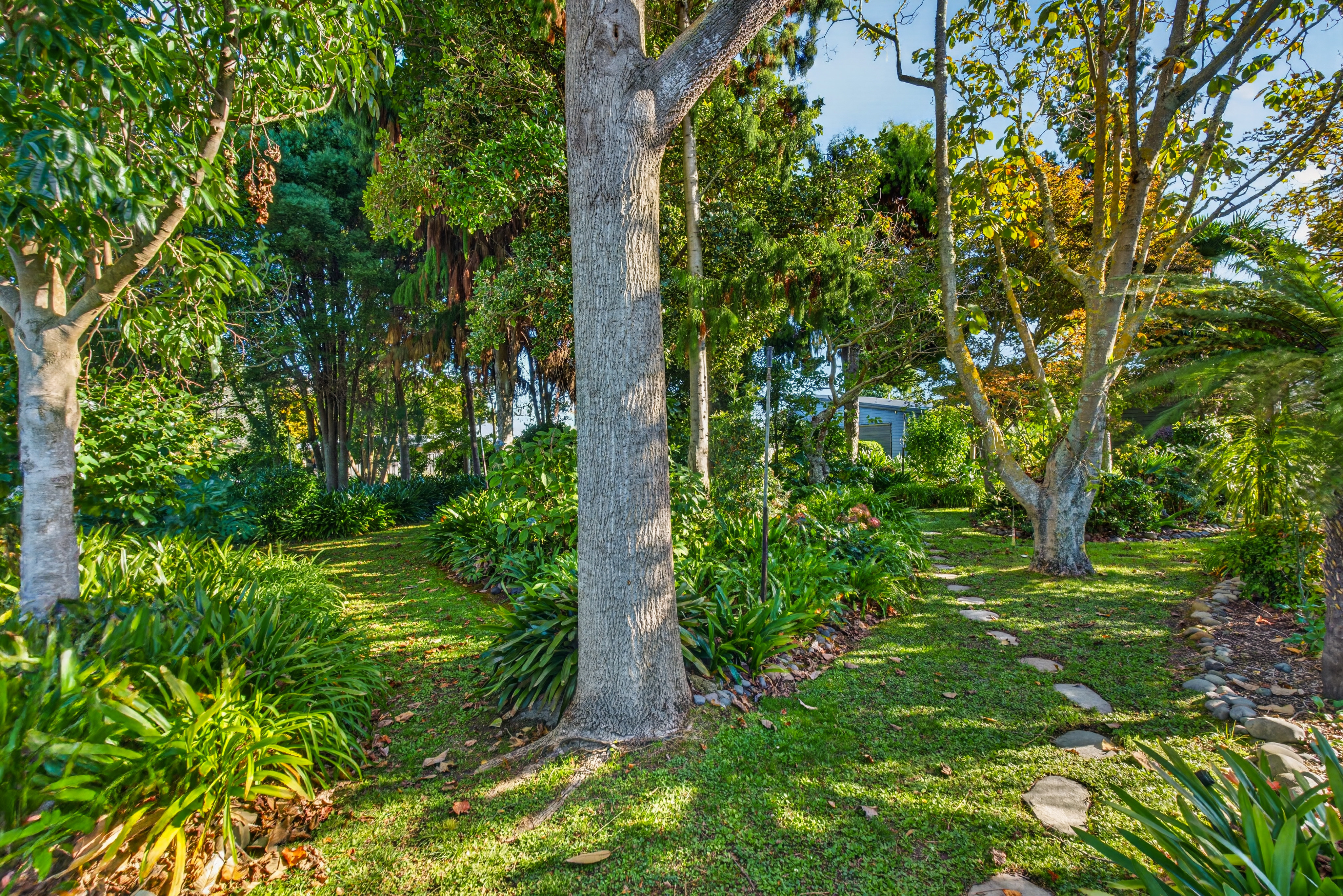  Architectural Statement of Distinction and Design - 物件實景