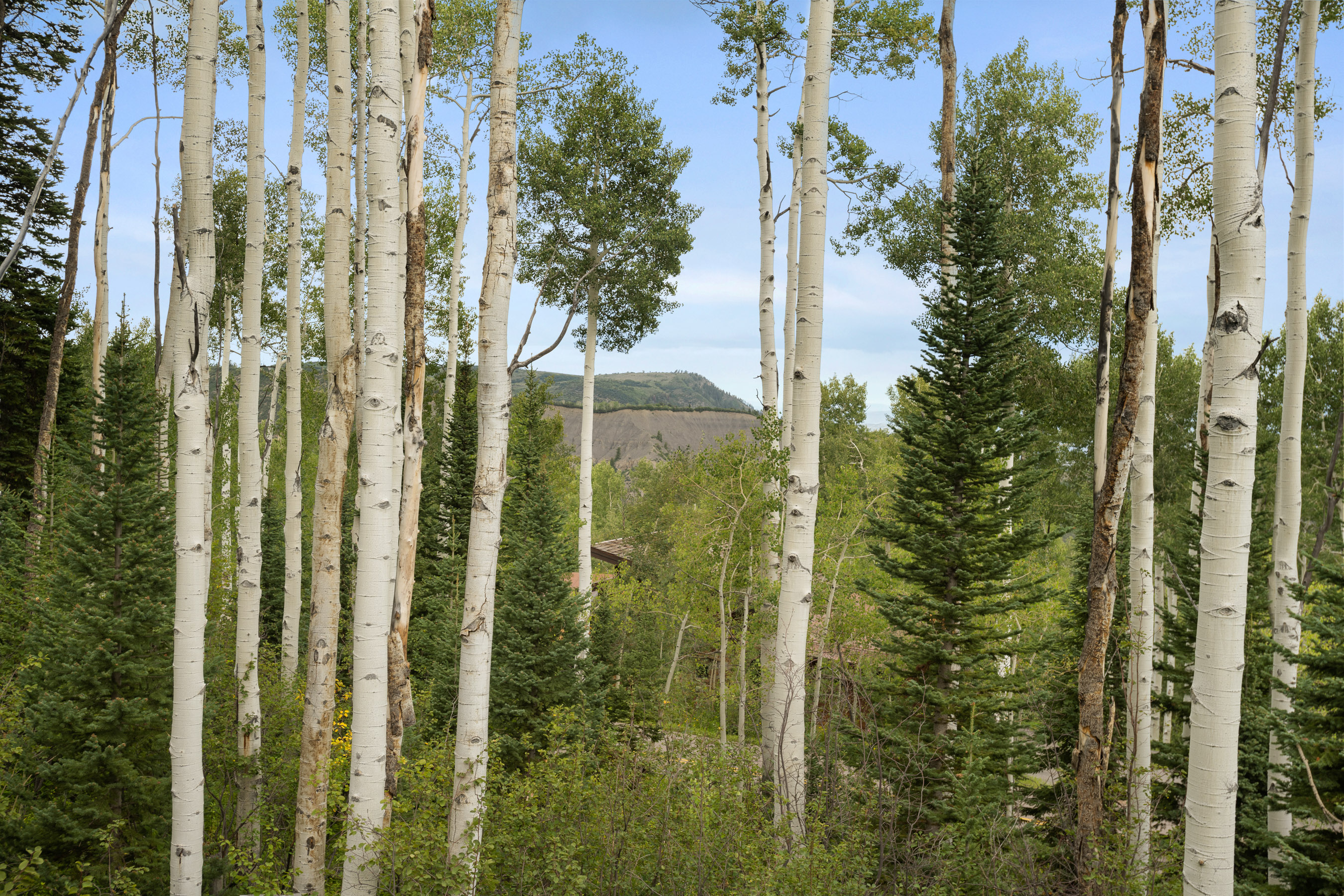  2055 Faraway Road, Snowmass Village, CO 81615 - 物件實景