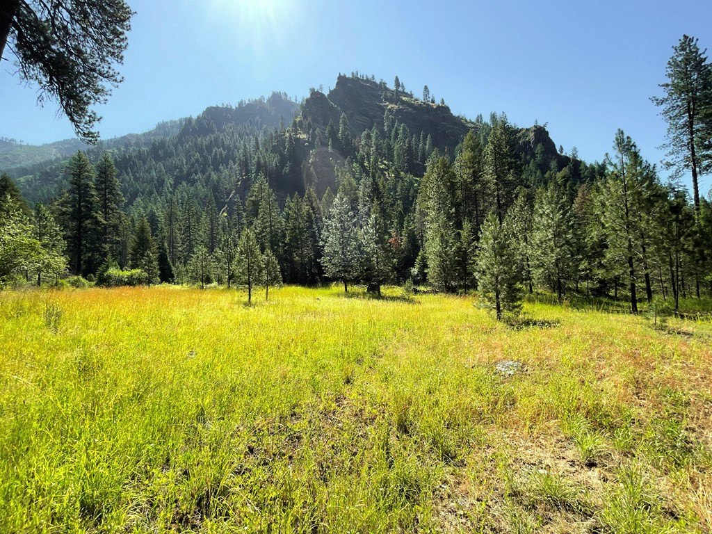Riggins, Idaho, 83549, United States, 1 Bedroom Bedrooms, ,Residential,For Sale,1762926