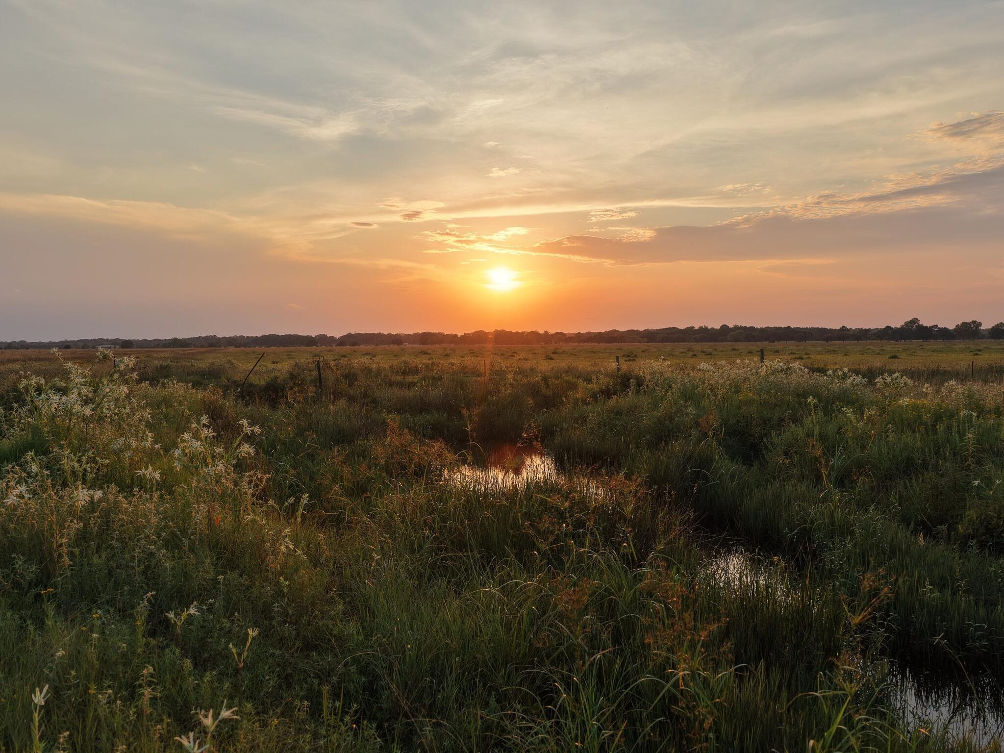 Anahuac, Texas, 77514, United States, ,Land,For Sale,1947447