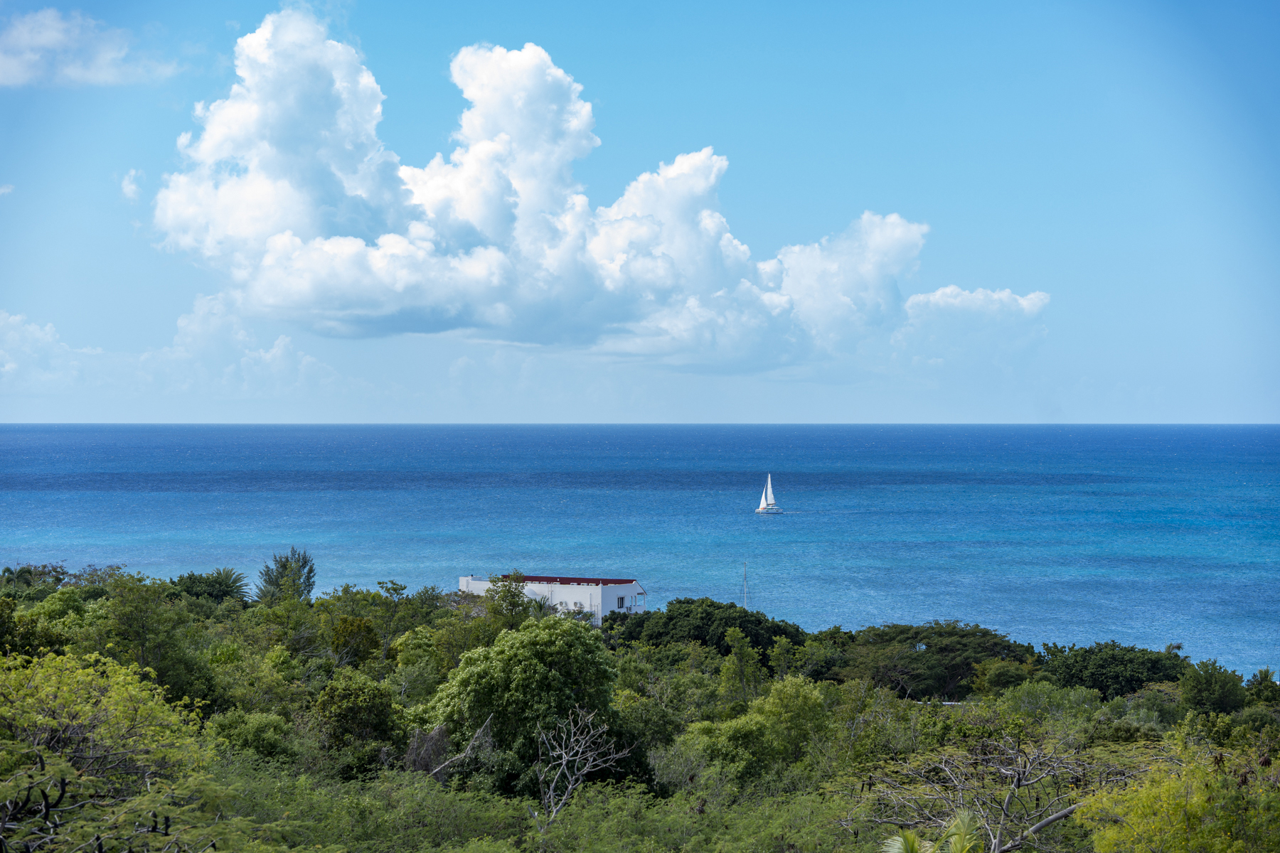  Baie Longue Flamboyant - 物件實景
