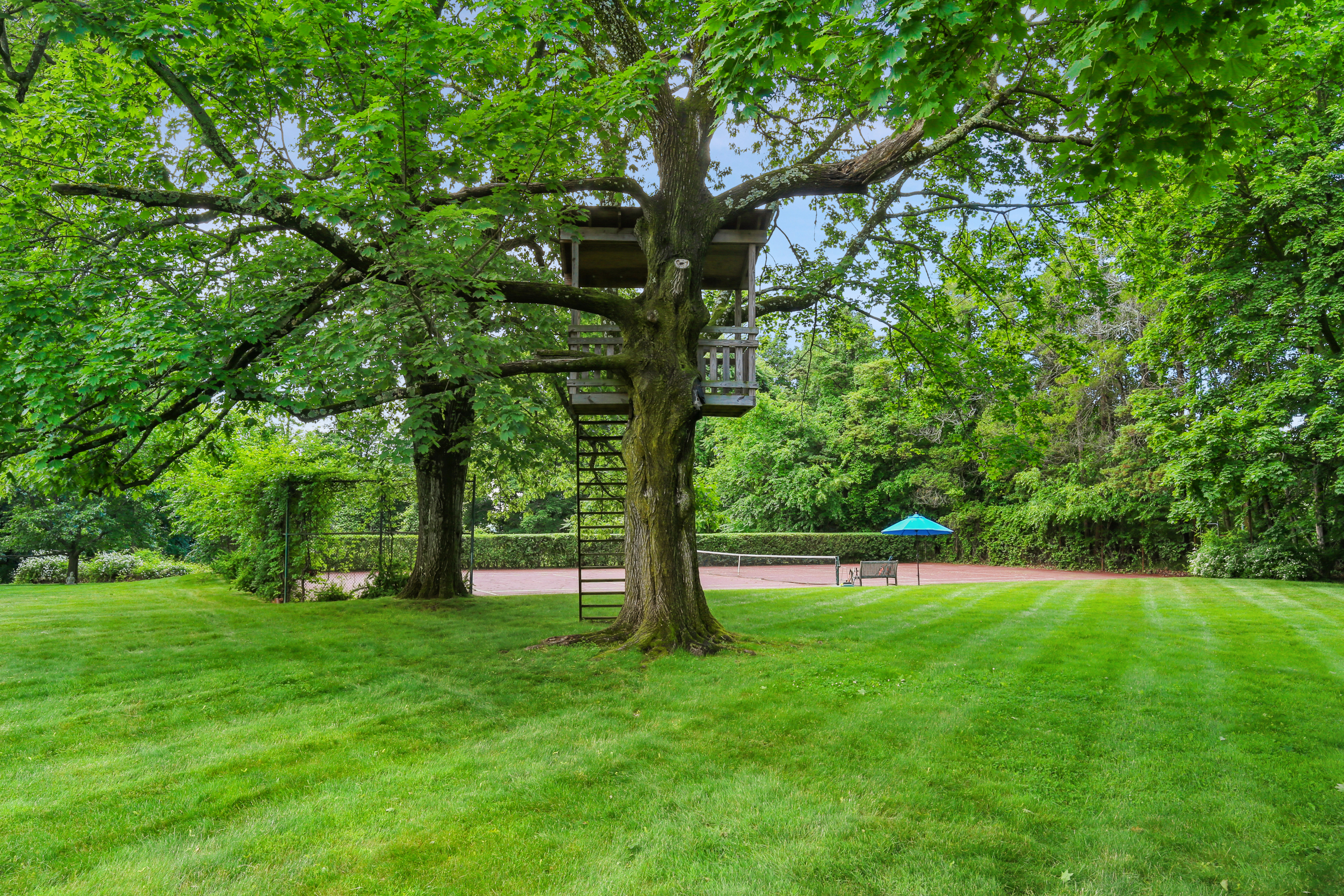  15 Sarosca Farm Lane - 物件實景