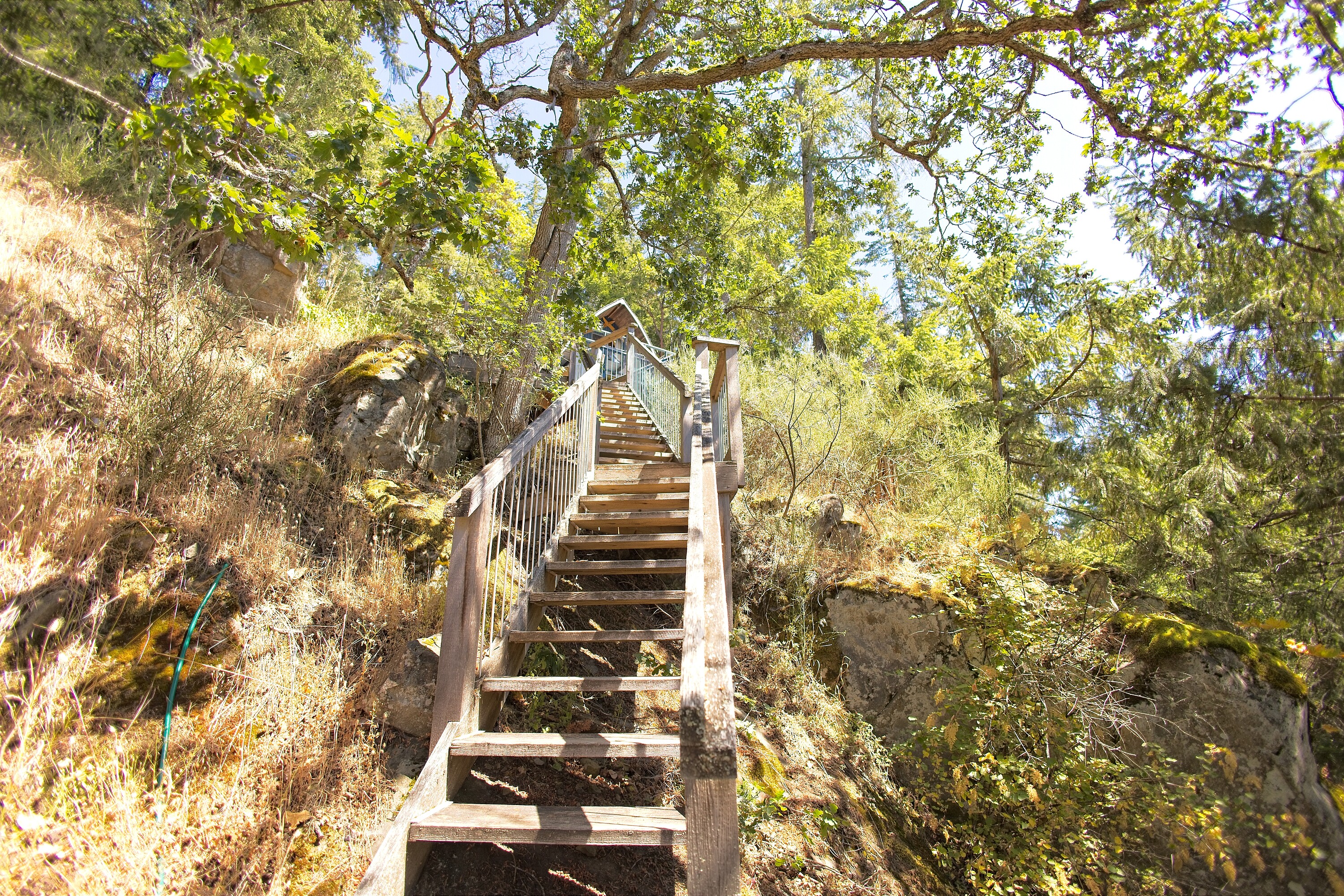  Firefly Cottage - 物件實景