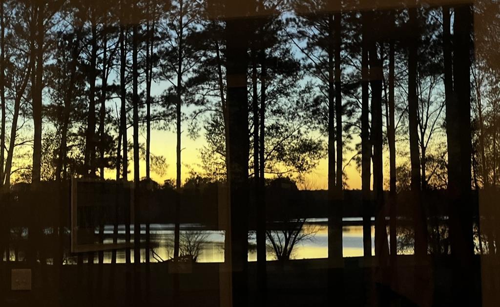 Etoile, Texas, 75944, United States, 3 Bedrooms Bedrooms, ,2 BathroomsBathrooms,Residential,For Sale,1989857