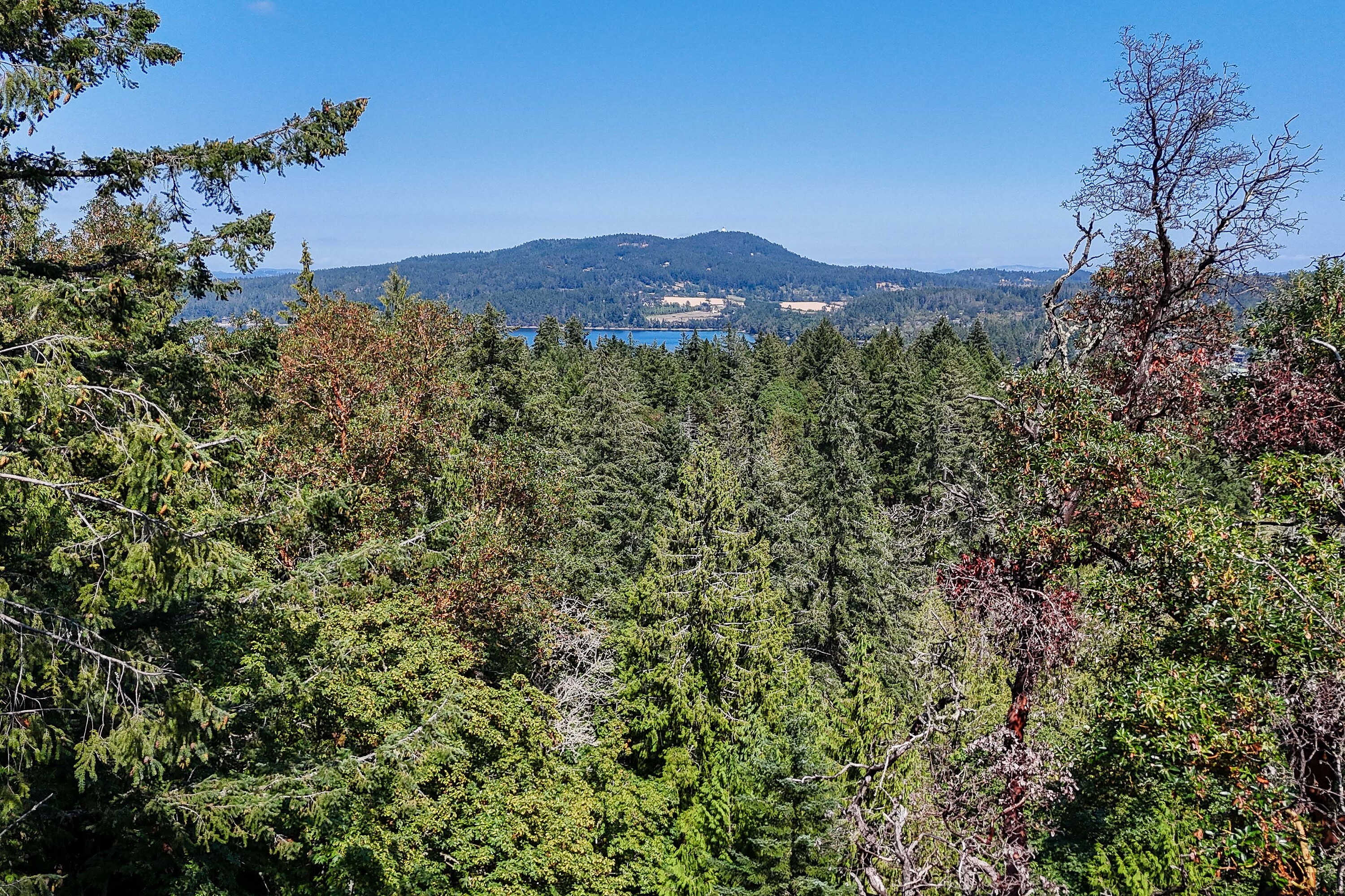  Scenic Peninsula Acreage - 物件實景