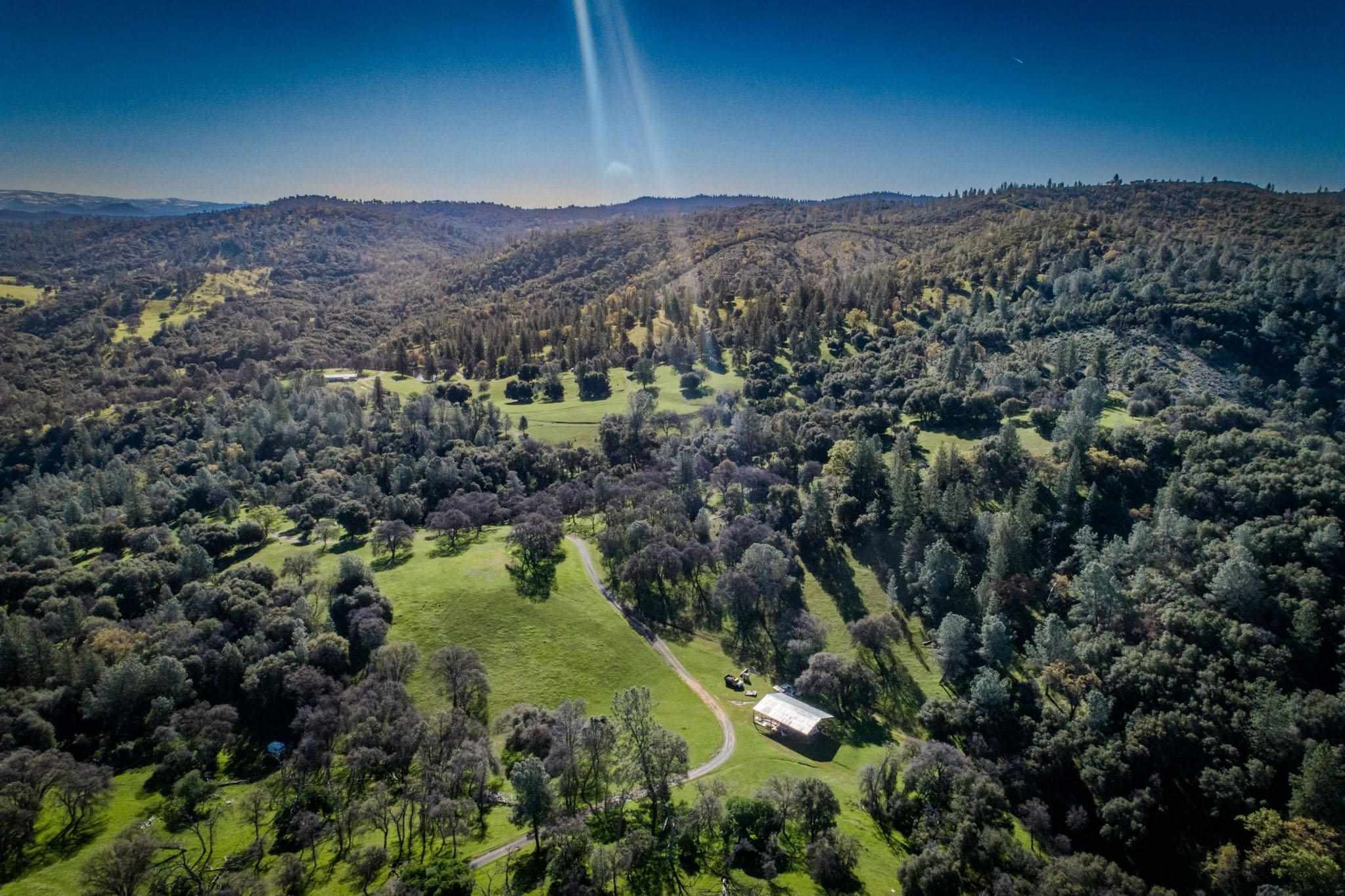 16551 Wards Ferry Rd, Big Oak Flat, California, 95305, United States, ,Land,For Sale,16551 Wards Ferry Rd,1554958