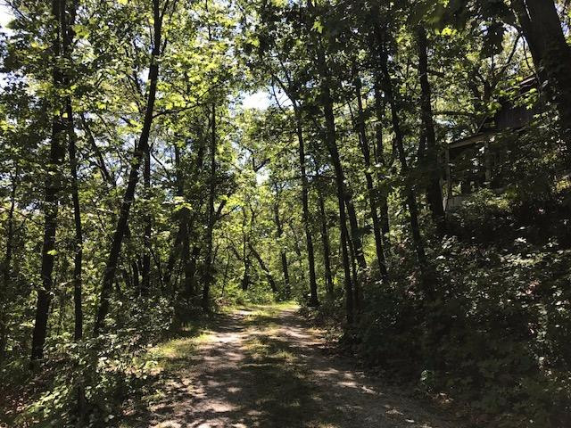 602 E Beverly Drive, Beverly Shores, Indiana, 46301, United States, ,Land,For Sale,602 E Beverly Drive,1614453