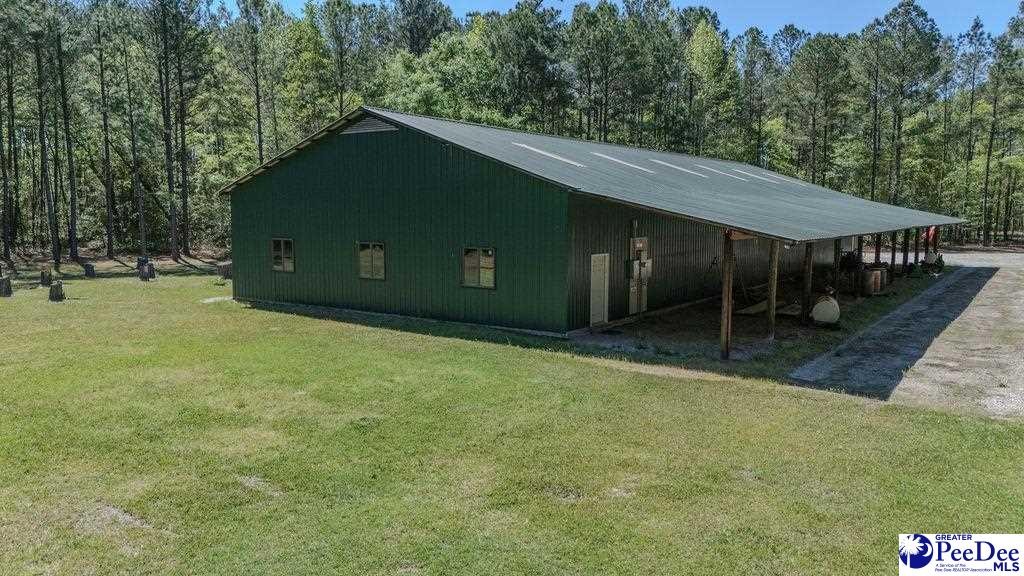 1315 Hill Harrell Road, Effingham, South Carolina, 29541-3179, United States, ,Land,For Sale,1315 Hill Harrell Road,1501598