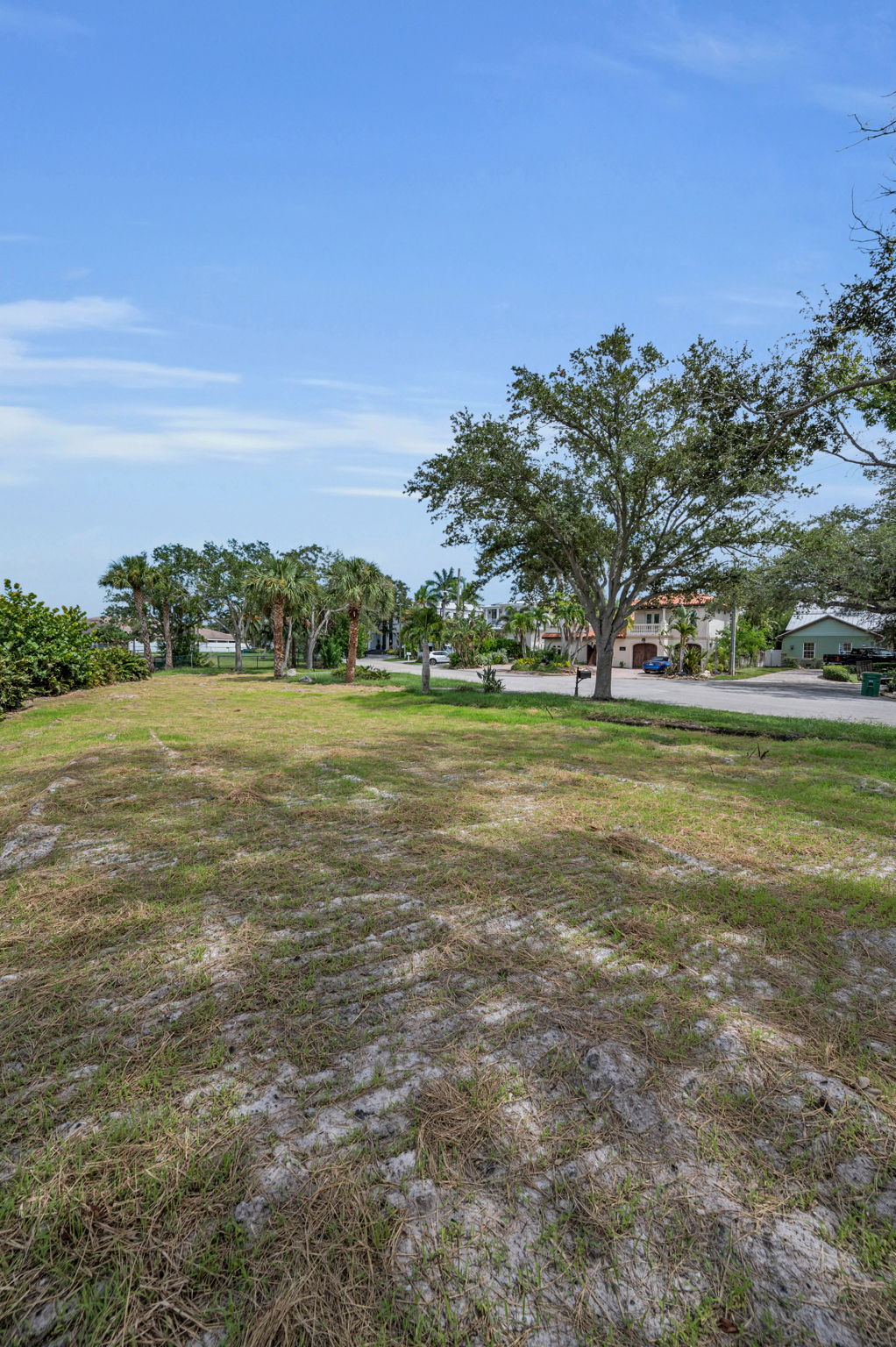 Tampa, Florida, 33609, United States, ,Land,For Sale,1976610