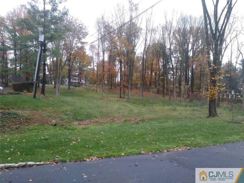 Colonia, New Jersey, 07067, United States, ,Land,For Sale,1981353