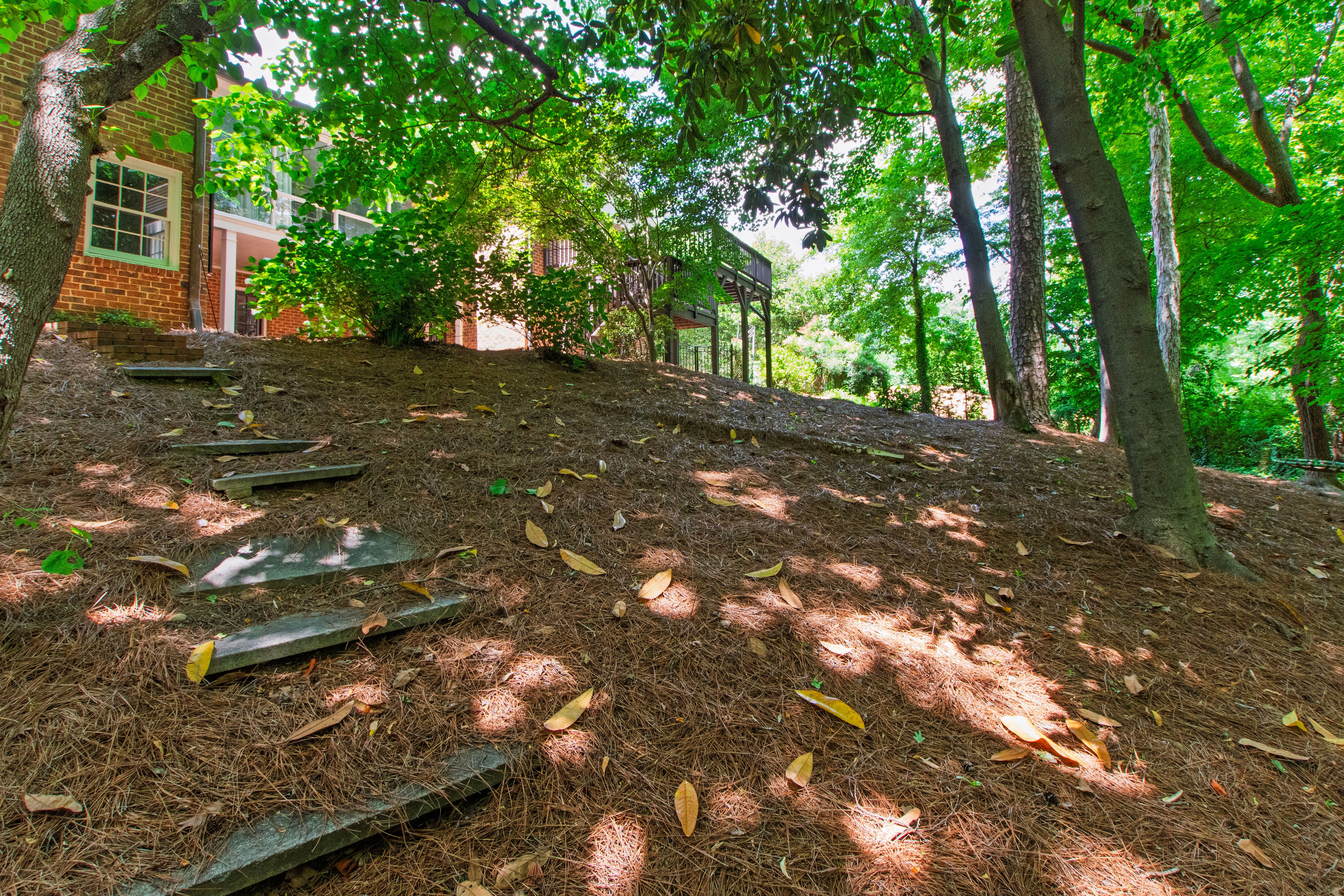  3620 Alamance Drive, Raleigh, NC 27609 - 物件實景