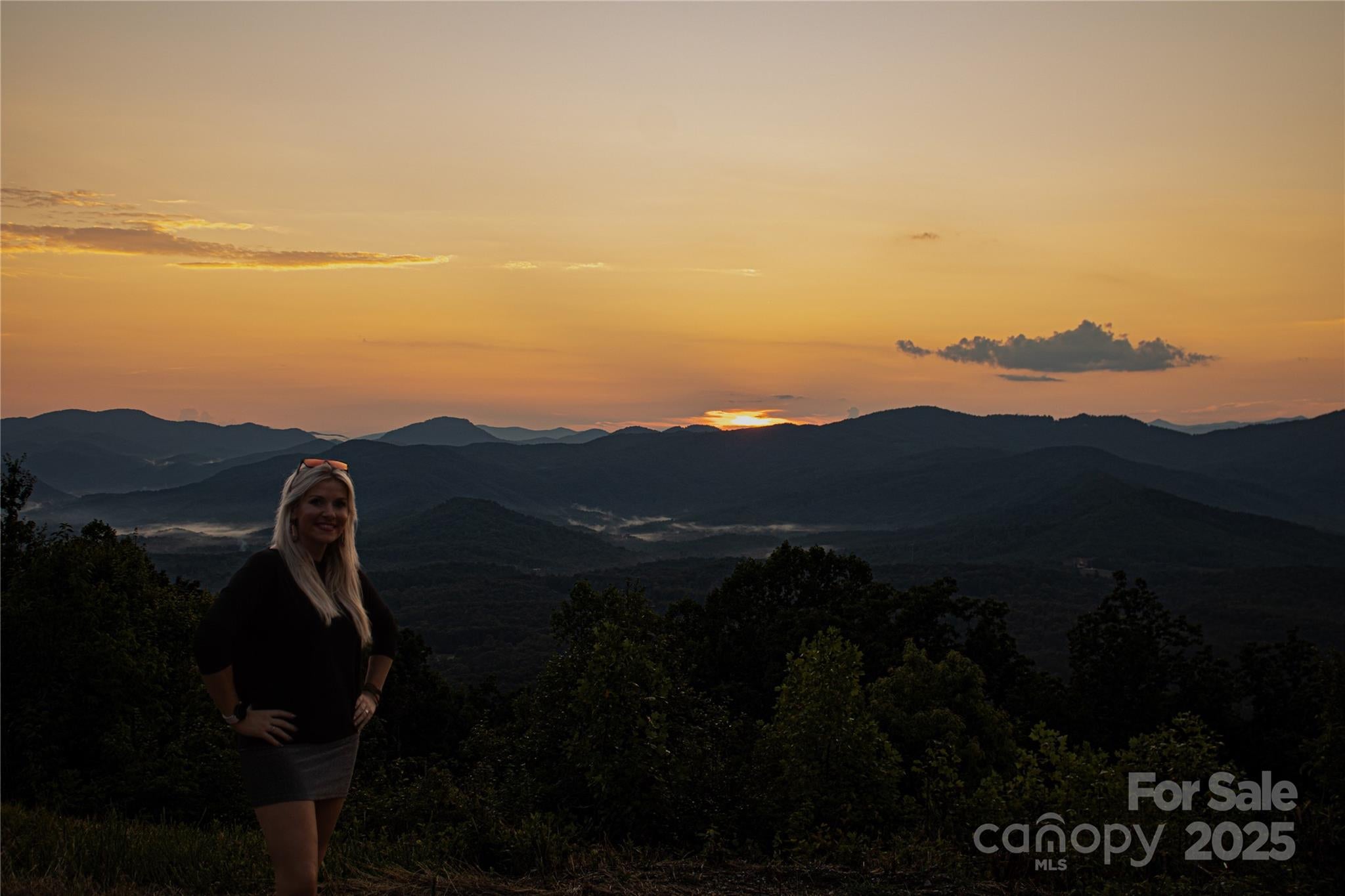 Union Mills, North Carolina, 28167, United States, ,Land,For Sale,2002833