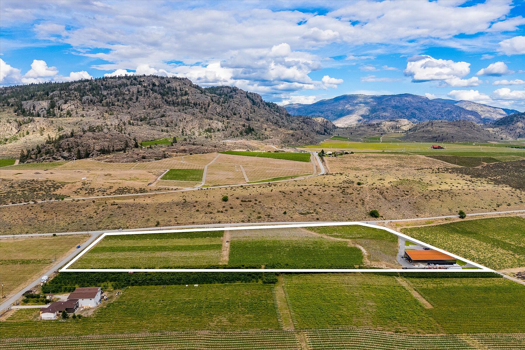  Oliver Winery Opportunity - 物件實景