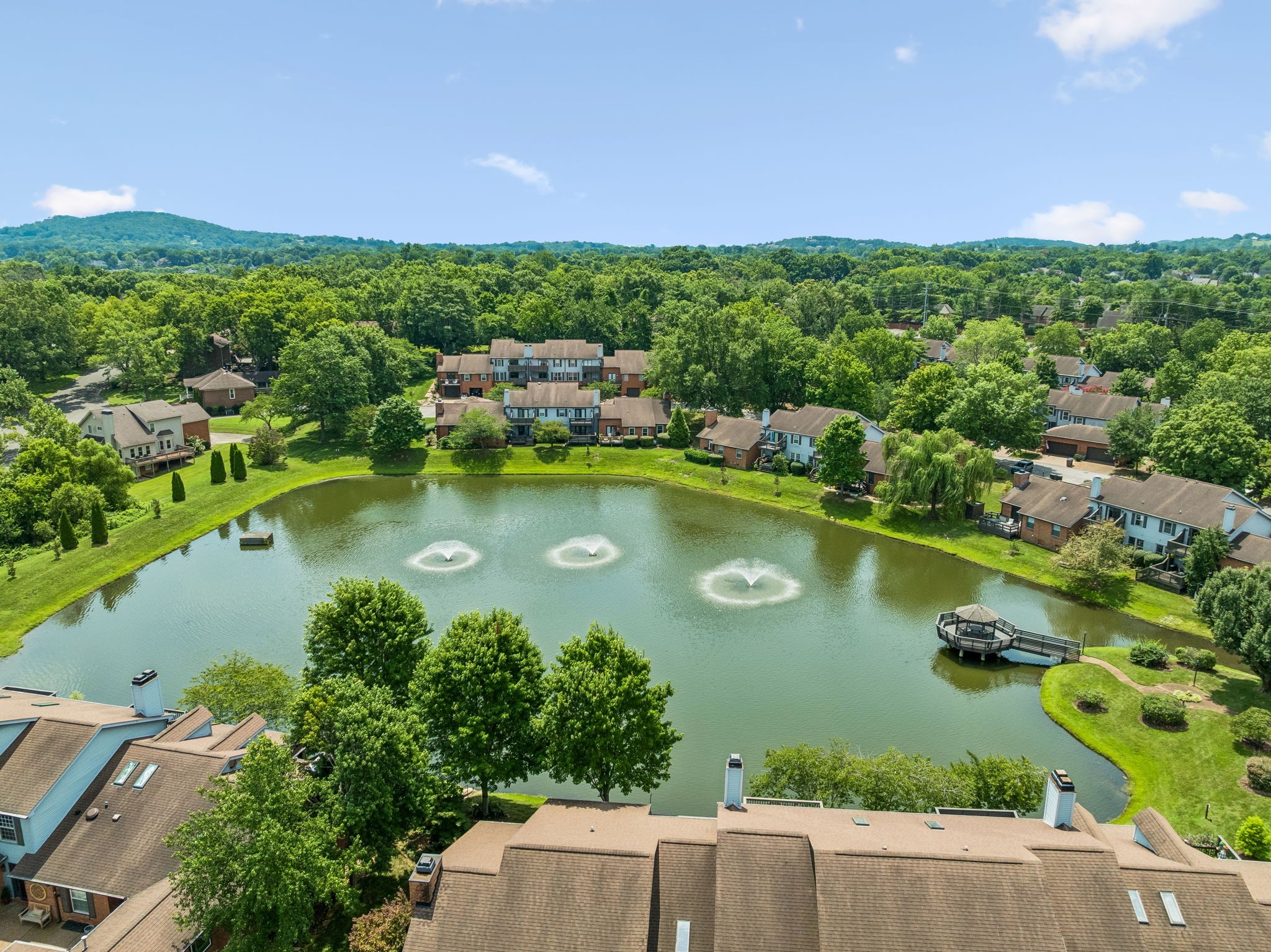  227 Hearthstone Manor Lane, Brentwood, TN 37027 - 物件實景