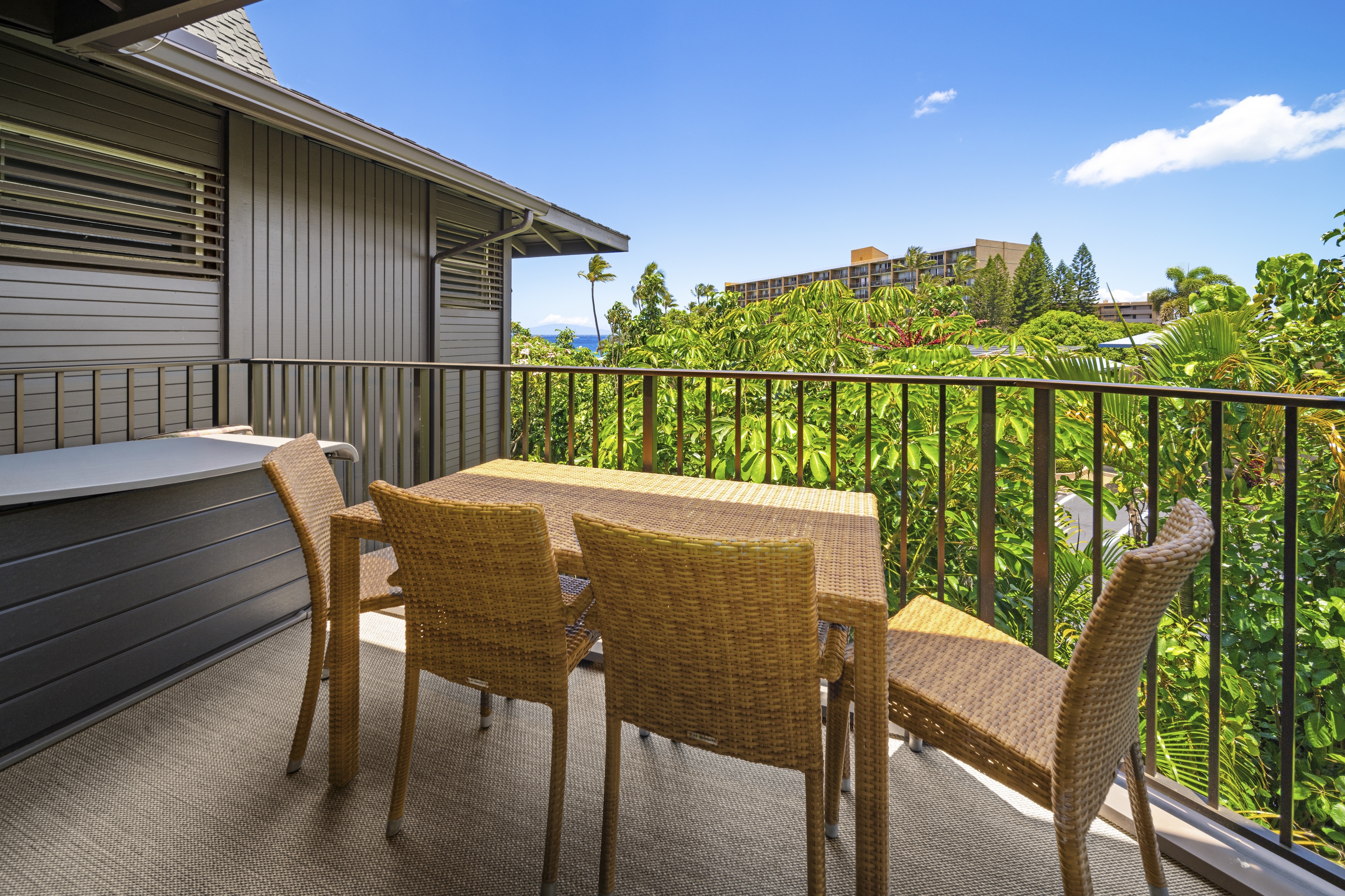  Serene beach front two bedroom two bath vacation rental condo - 物件實景