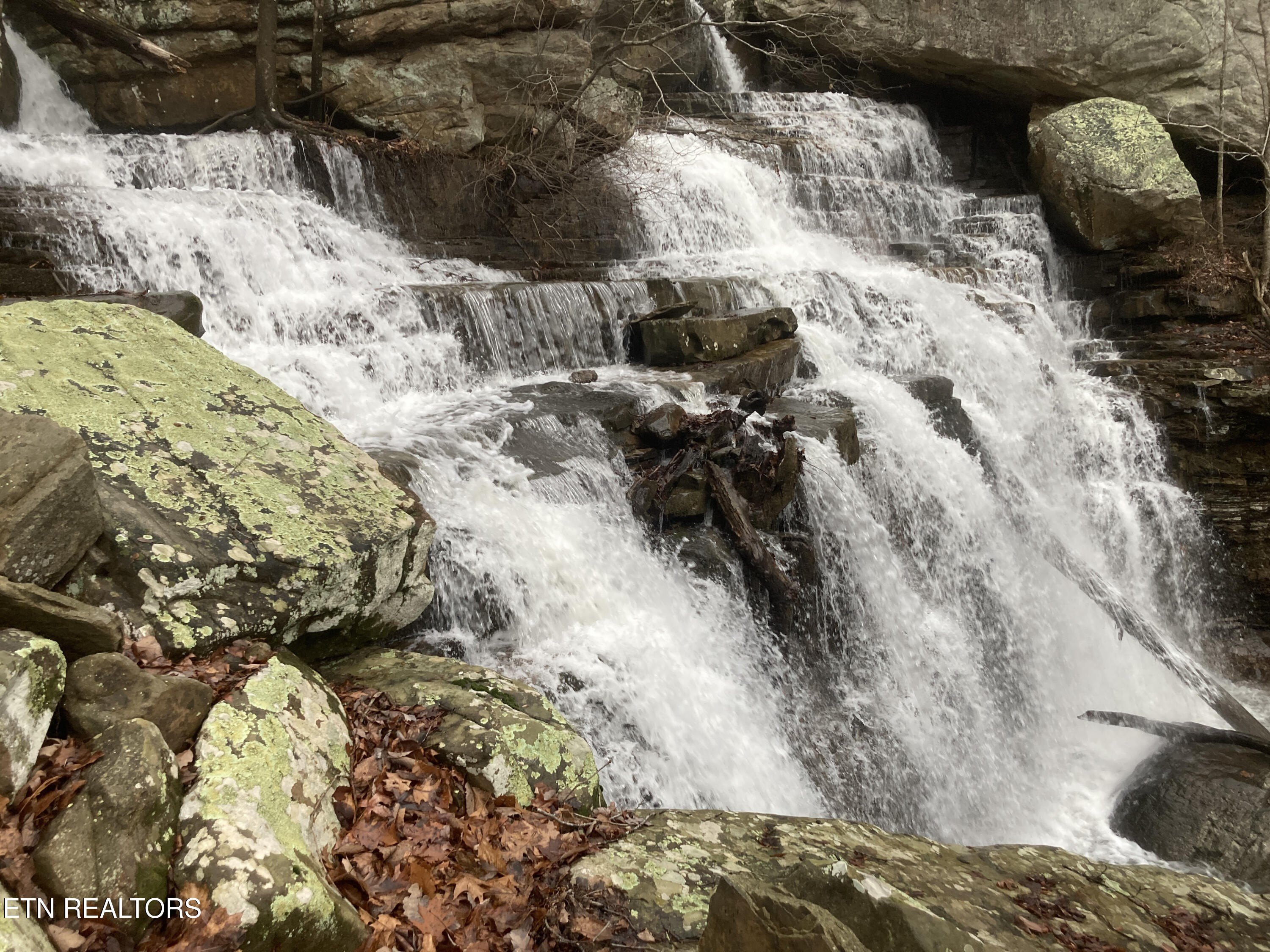 Pikeville, Tennessee, 37367, United States, ,Land,For Sale,1975616