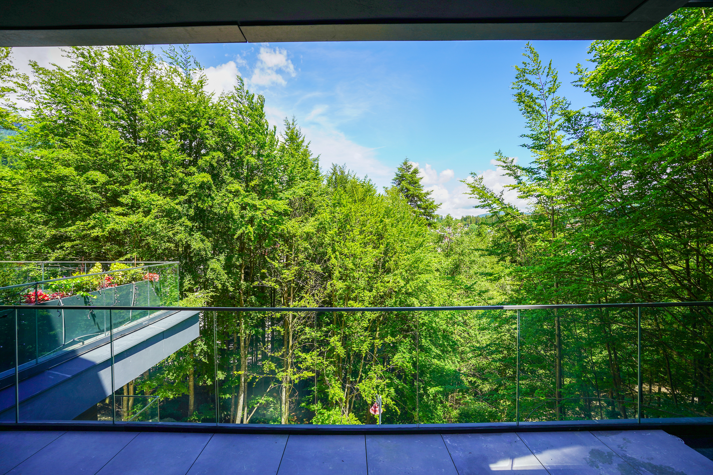  Penthouse Bordering the Forest, Sinaia - 物件實景