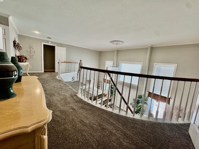 Paragould, Arkansas, 72450, United States, 5 Bedrooms Bedrooms, ,3 BathroomsBathrooms,Residential,For Sale,1955284