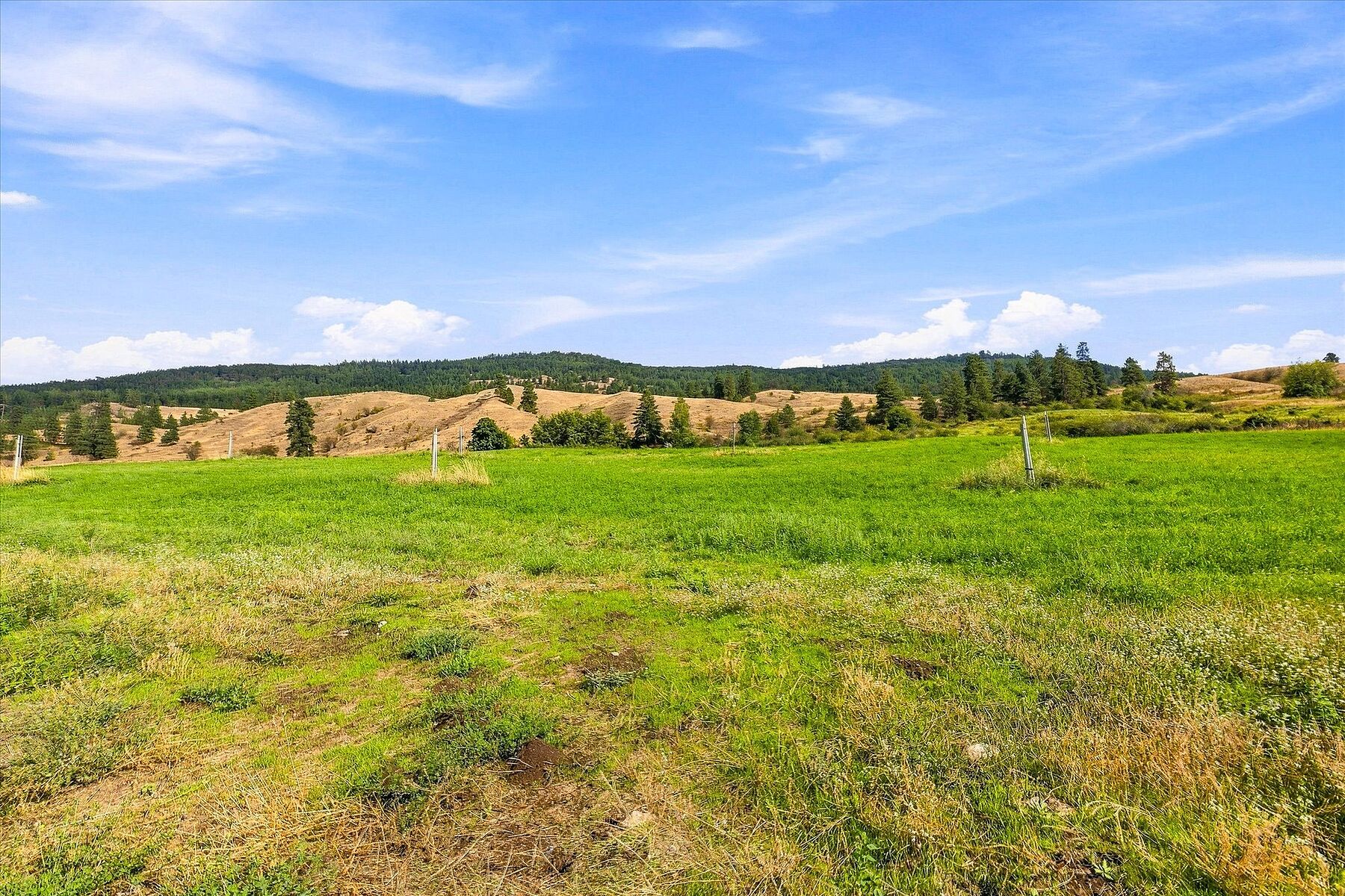  Productive Farmland in Oyama - 物件實景
