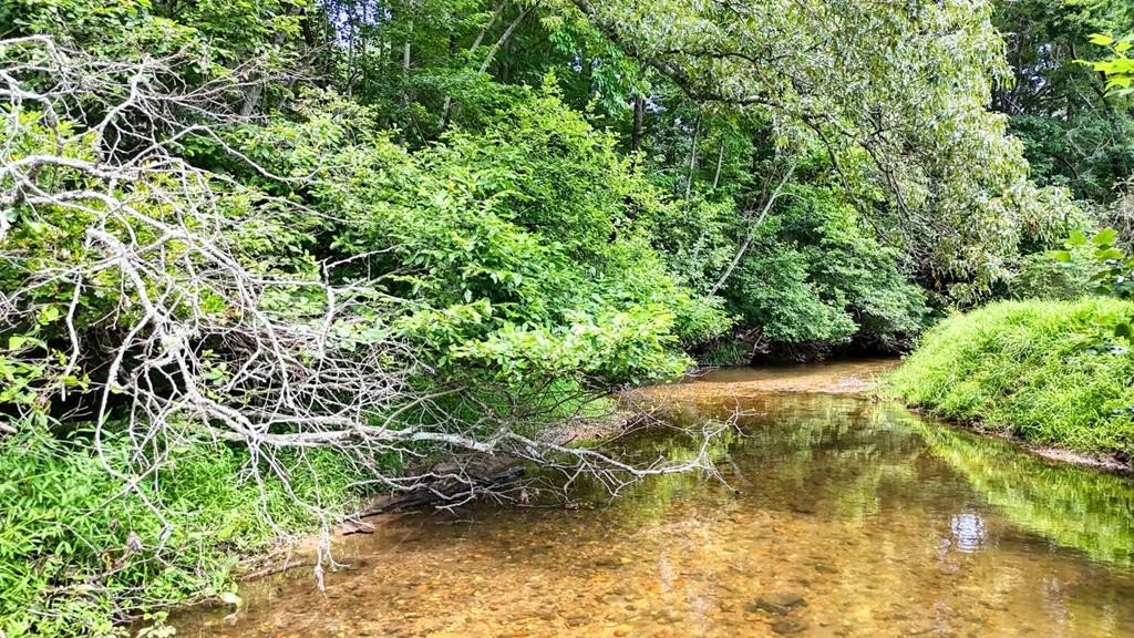 Blairsville, Georgia, 30512, United States, 4 Bedrooms Bedrooms, ,3 BathroomsBathrooms,Residential,For Sale,1983260