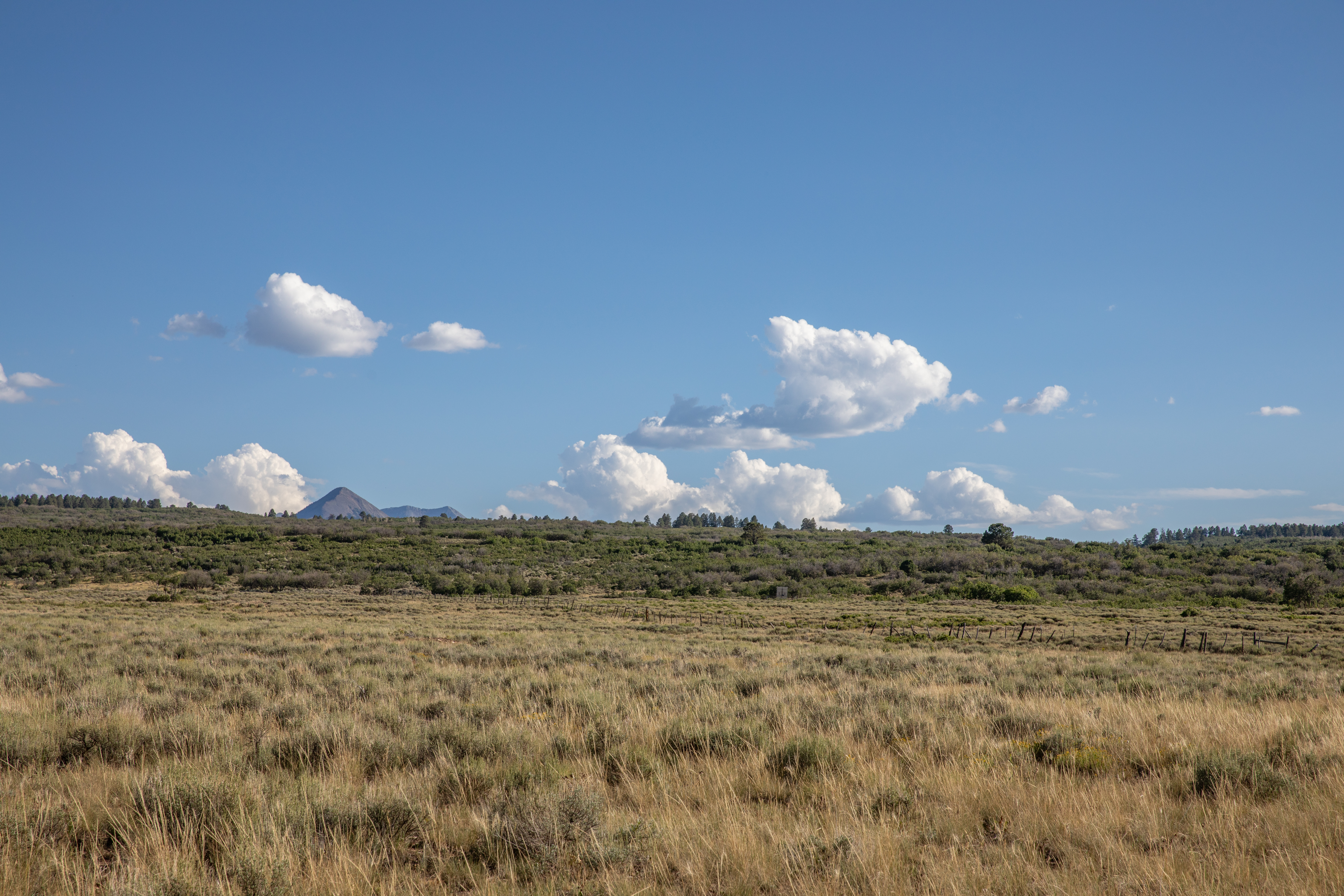  80 Acres outside of Telluride, CO - 物件實景