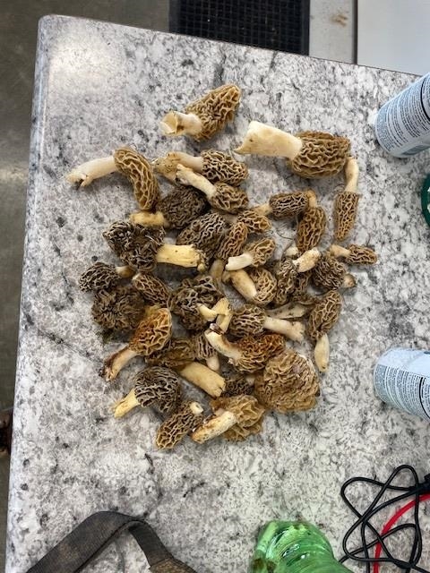 Muscoda, Wisconsin, 53573, United States, 3 Bedrooms Bedrooms, ,3 BathroomsBathrooms,Residential,For Sale,1990387