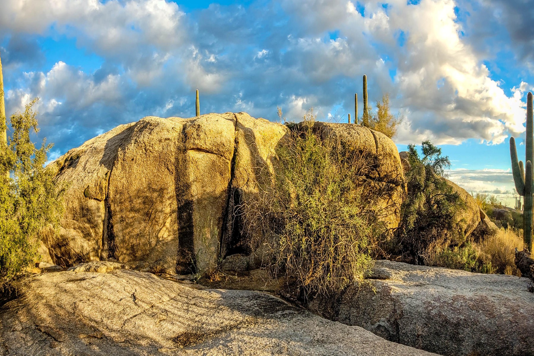  27777 N 95th Street  Scottsdale, AZ - 物件實景