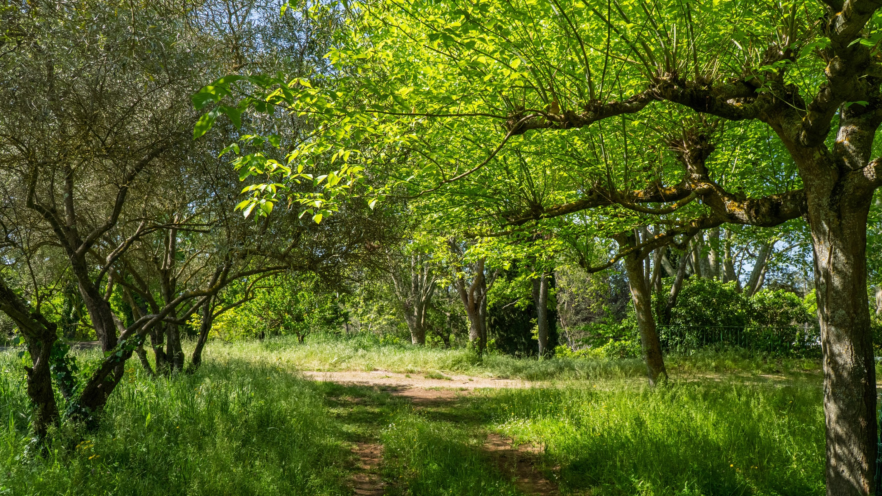  Multifunctional Property in the Heart of the Aix Countryside – Puyricard Area J… - 物件實景