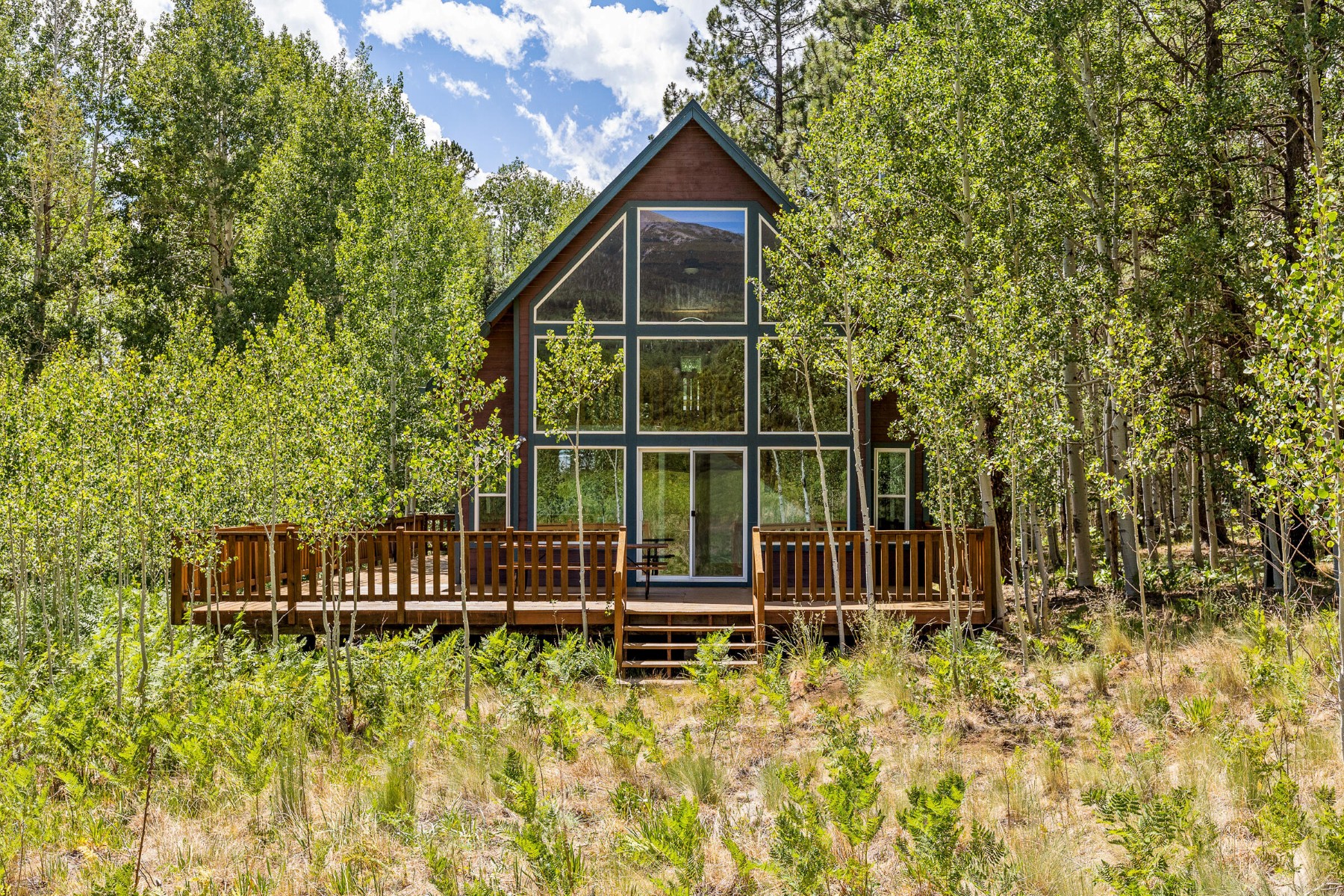  17787 N Forest Service 9004t Road ¦ Flagstaff, AZ - 物件實景