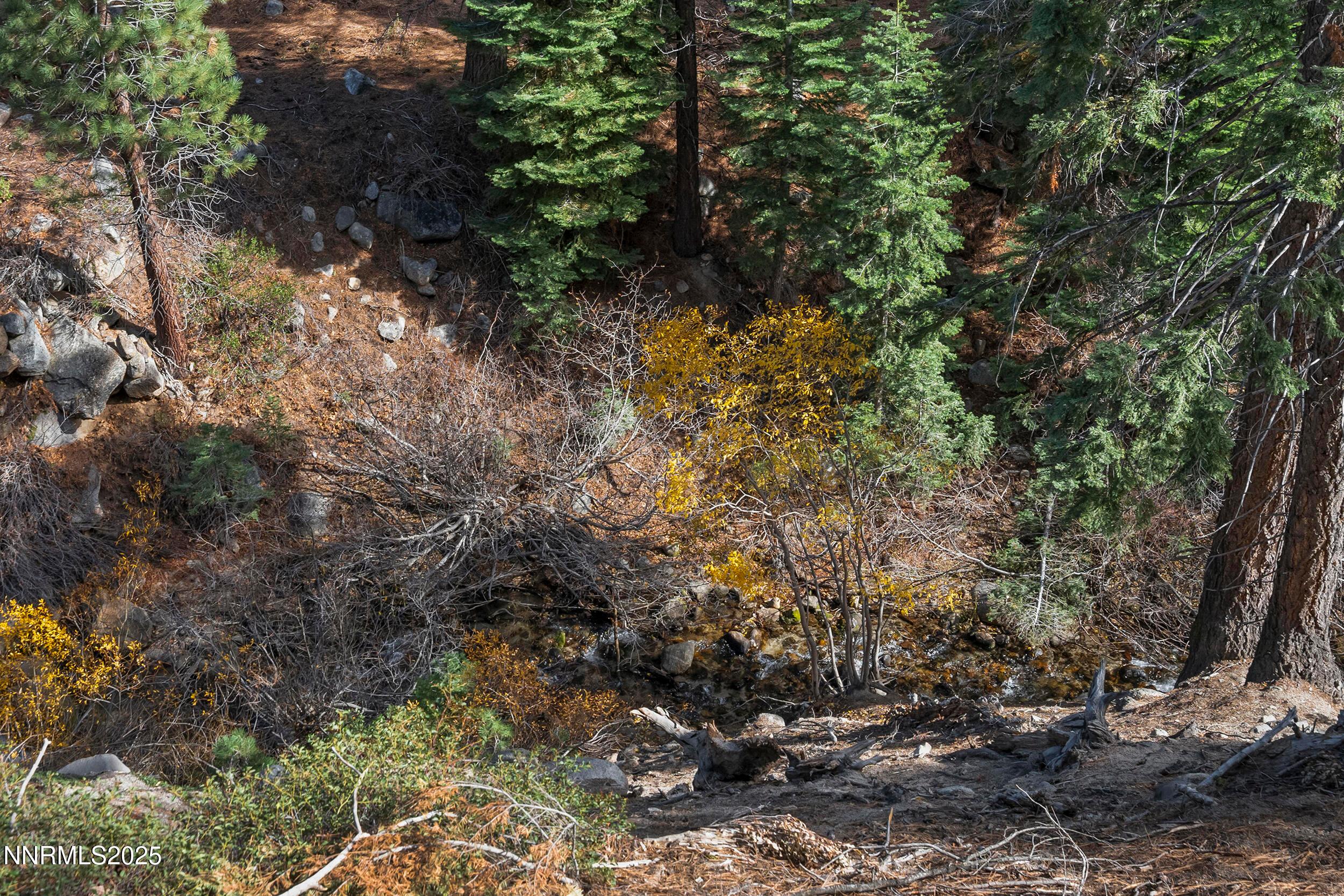 Incline Village, Nevada, 89451, United States, ,Residential,For Sale,1988930