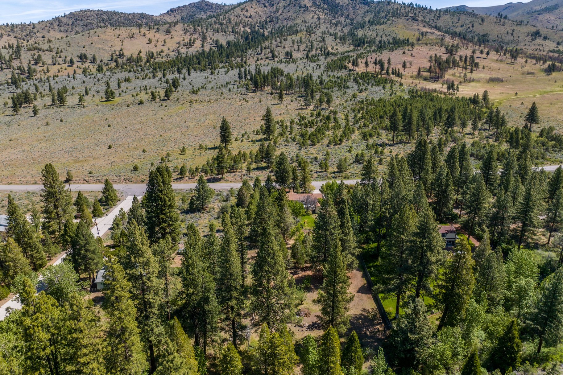 Sweet home on 1.24 acres in Sierra Brooks - 物件實景