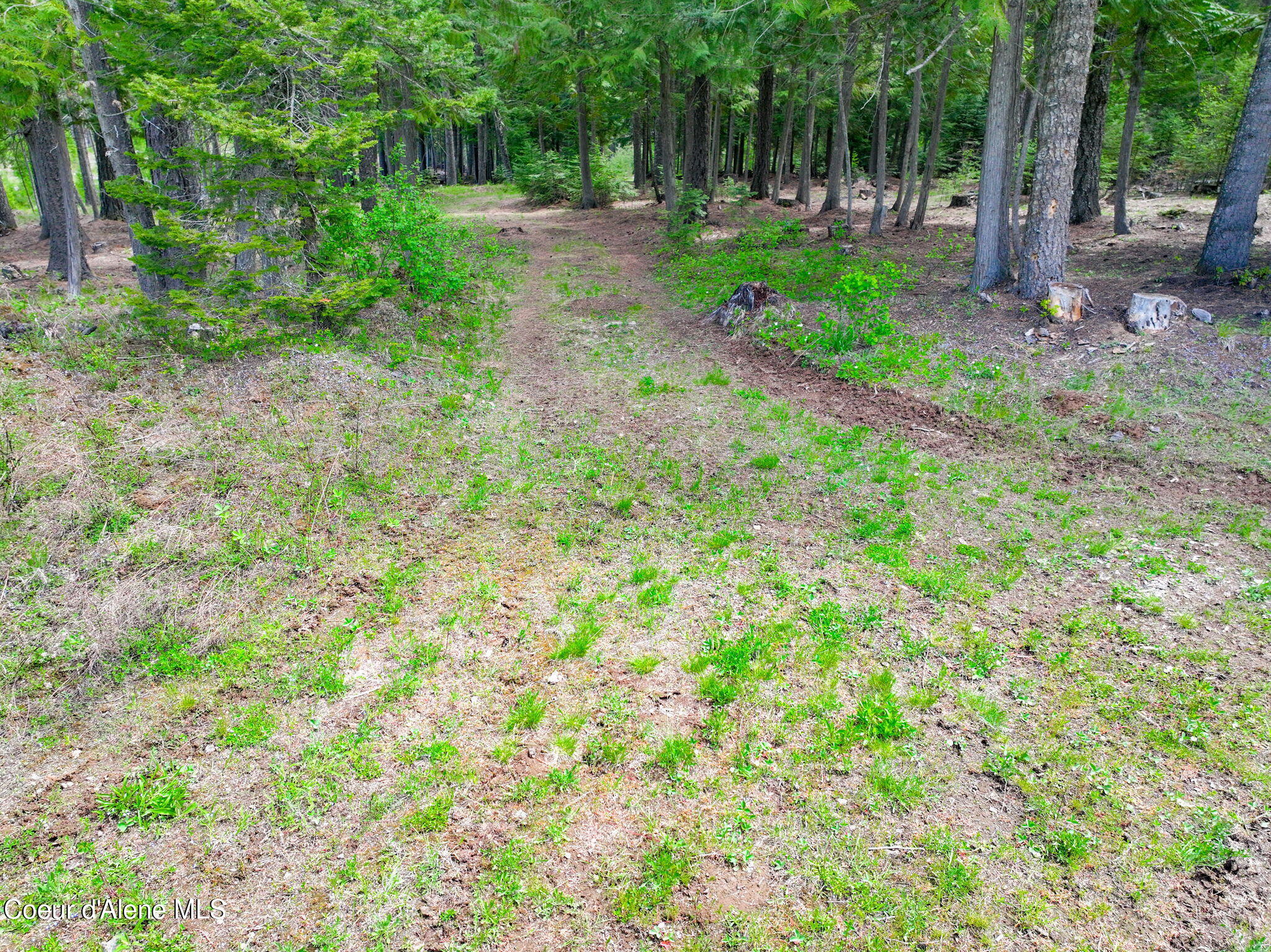 St. Maries, Idaho, 83861, United States, 3 Bedrooms Bedrooms, ,3 BathroomsBathrooms,Residential,For Sale,2011684