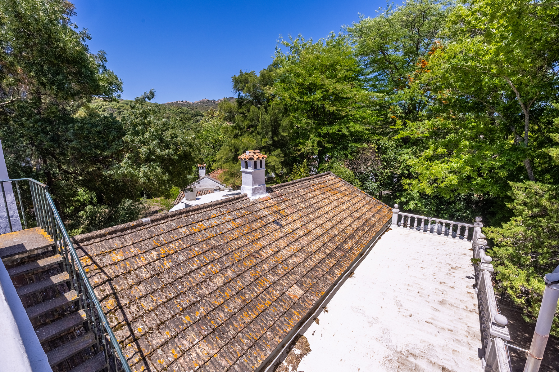  Exclusive Estate in Los Alcornocales Natural Park - 物件實景