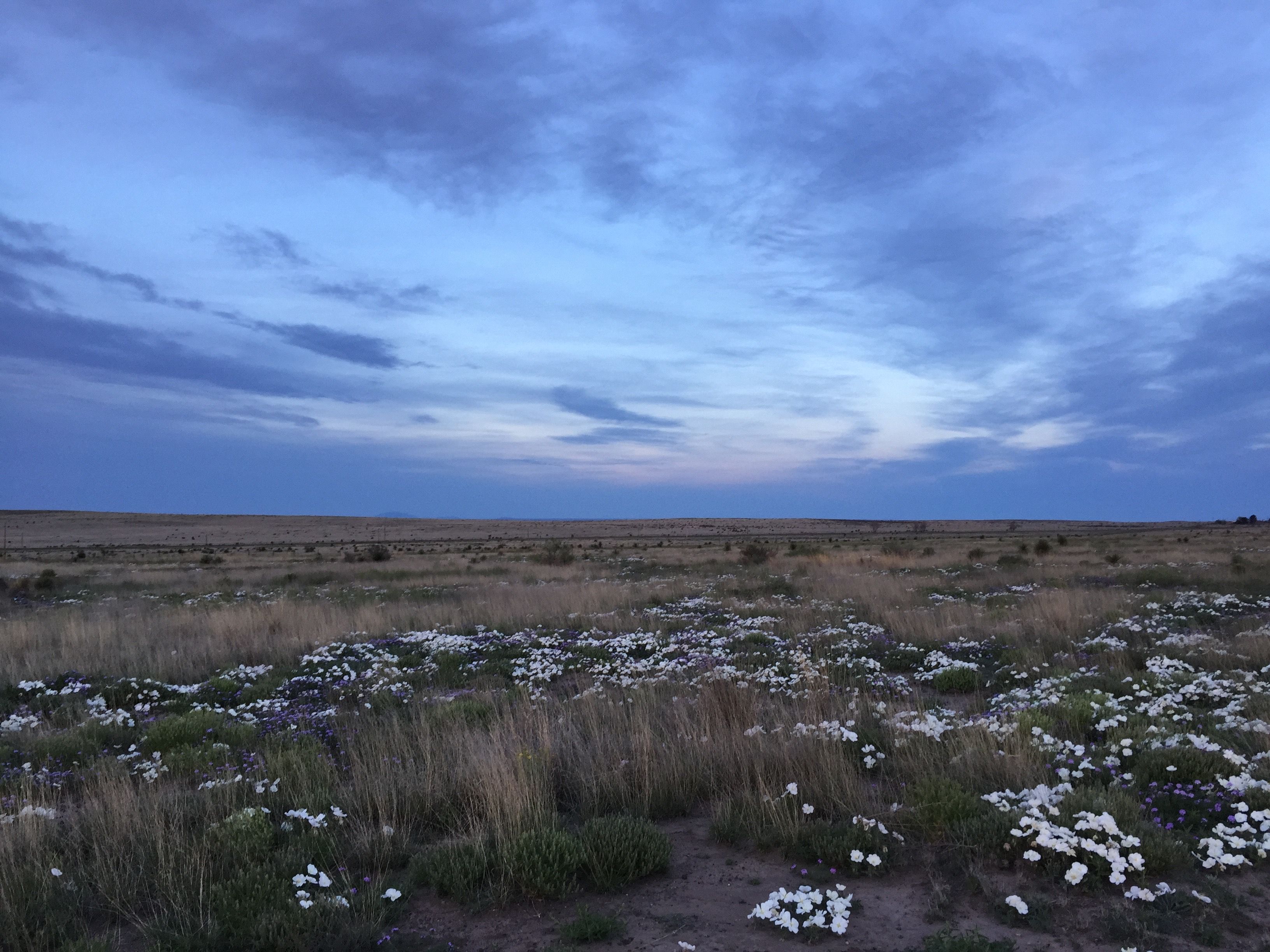  18311 Hwy 90, Marfa, TX 79843 - 物件實景