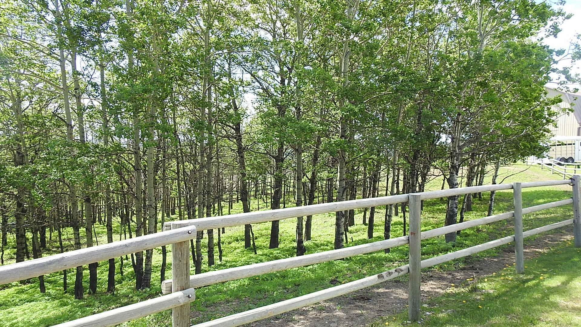 RURAL FOOTHILLS COUNTY, Alberta, T1S 4A9, CA, 3 Bedrooms Bedrooms, ,5 BathroomsBathrooms,Residential,For Sale,1838193