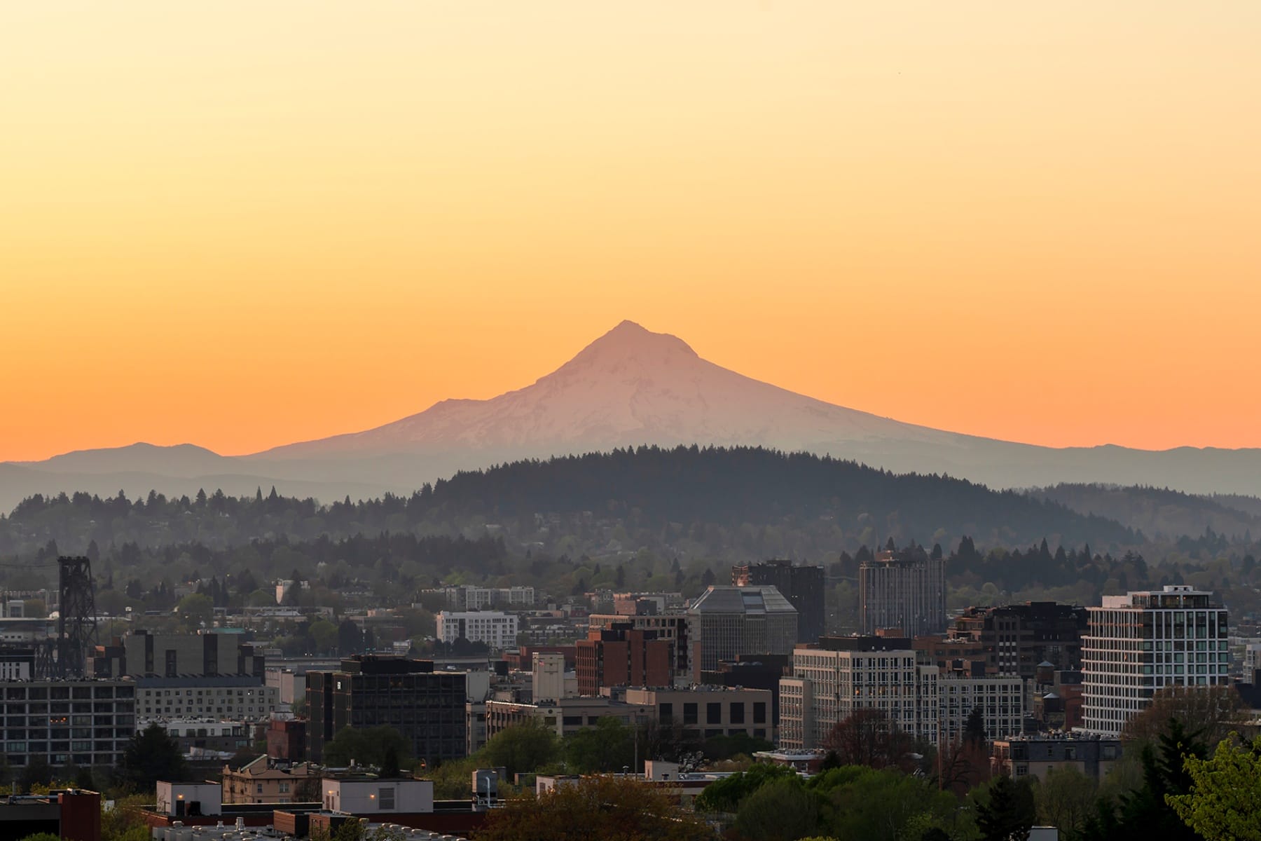  1122 NW SUMMIT AVE Portland, OR 97210 - 物件實景